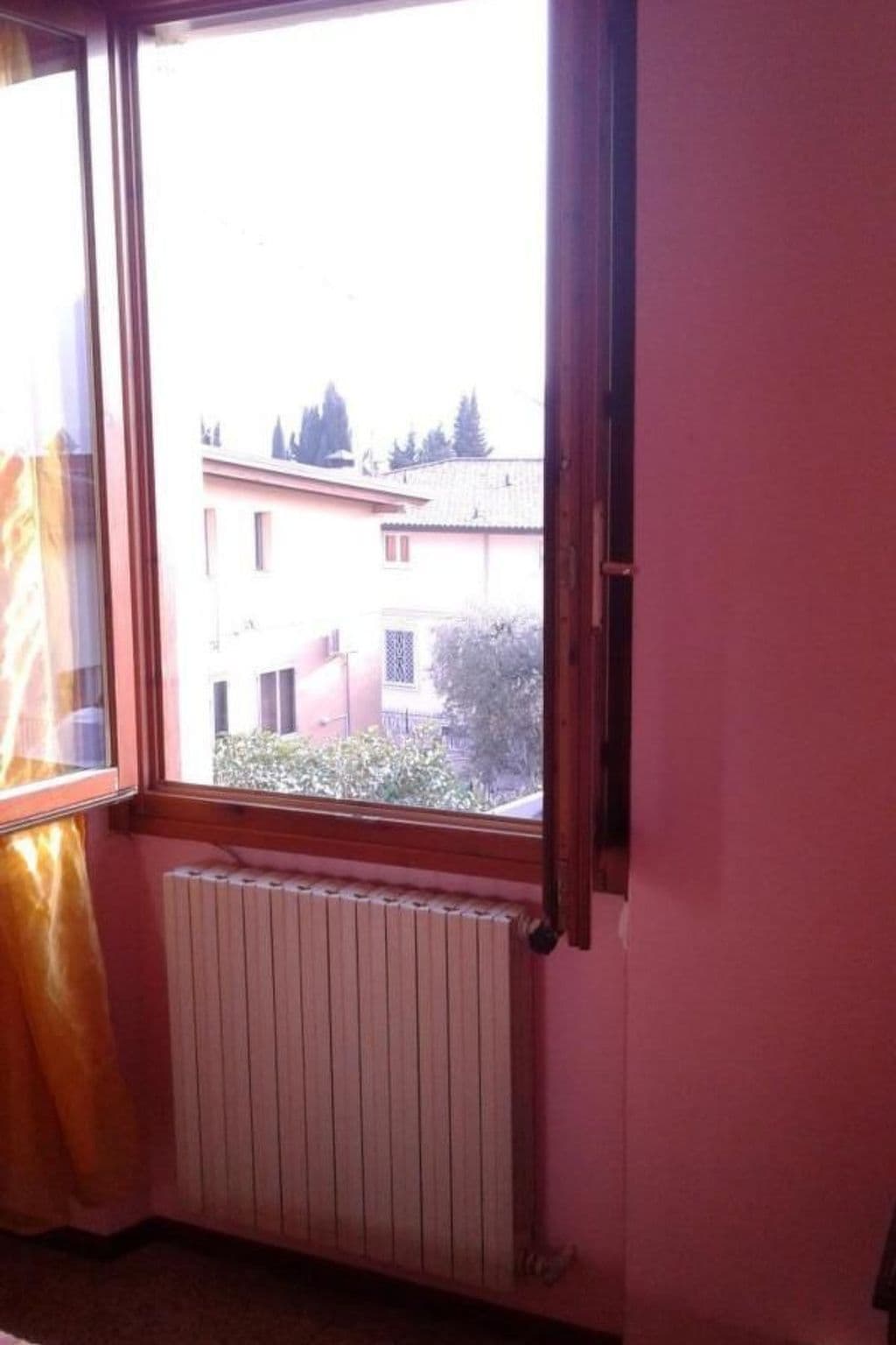 Gallery Image 20