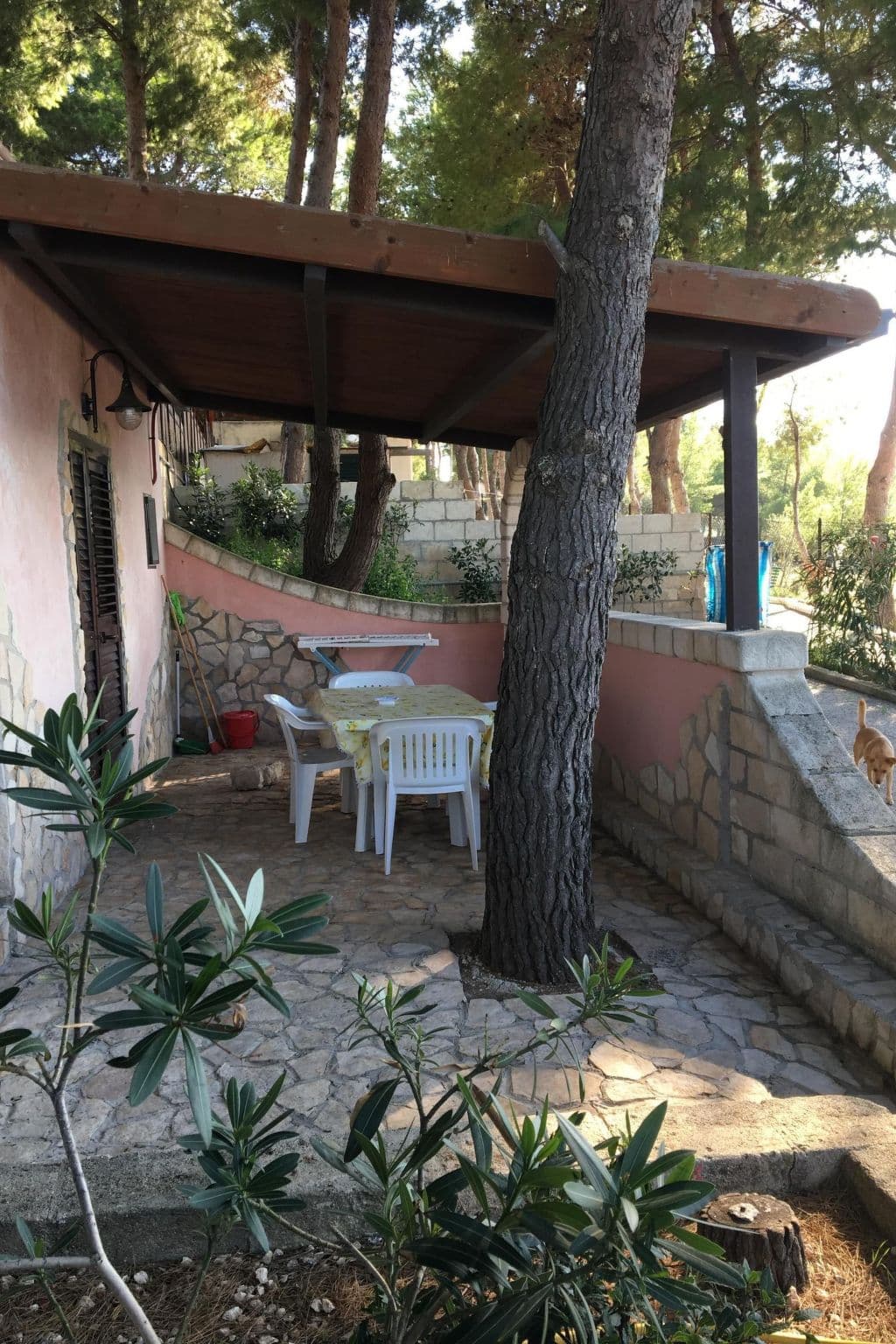 Gallery Image 11