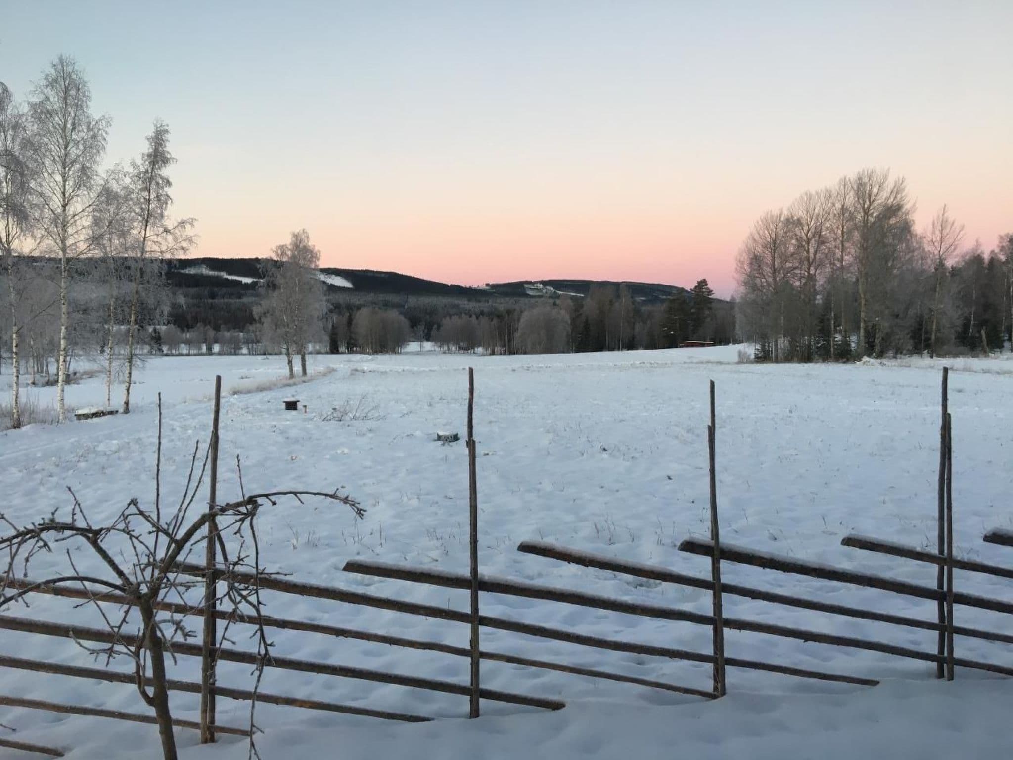 Gallery Image 38