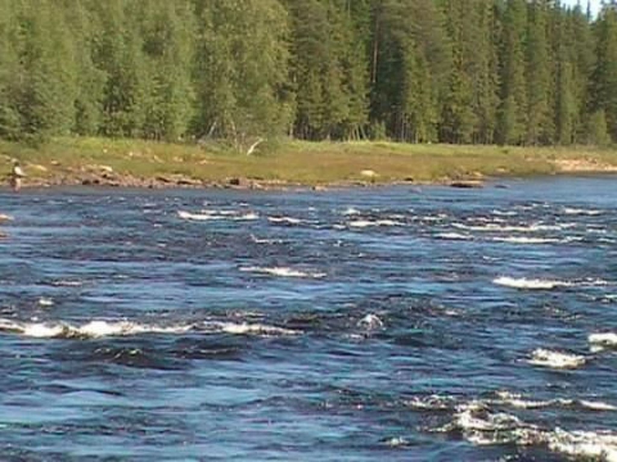 Gallery Image 26