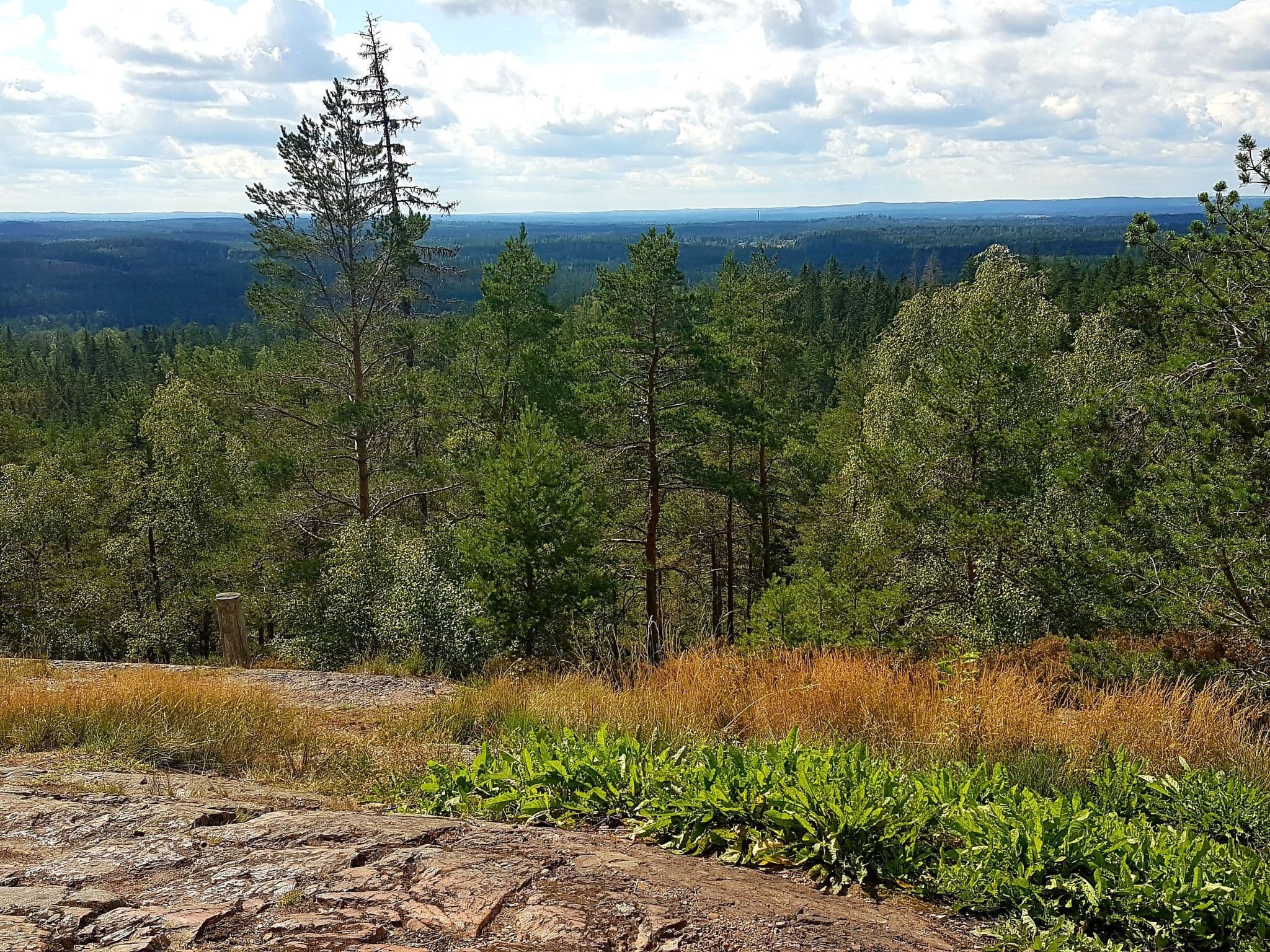 View