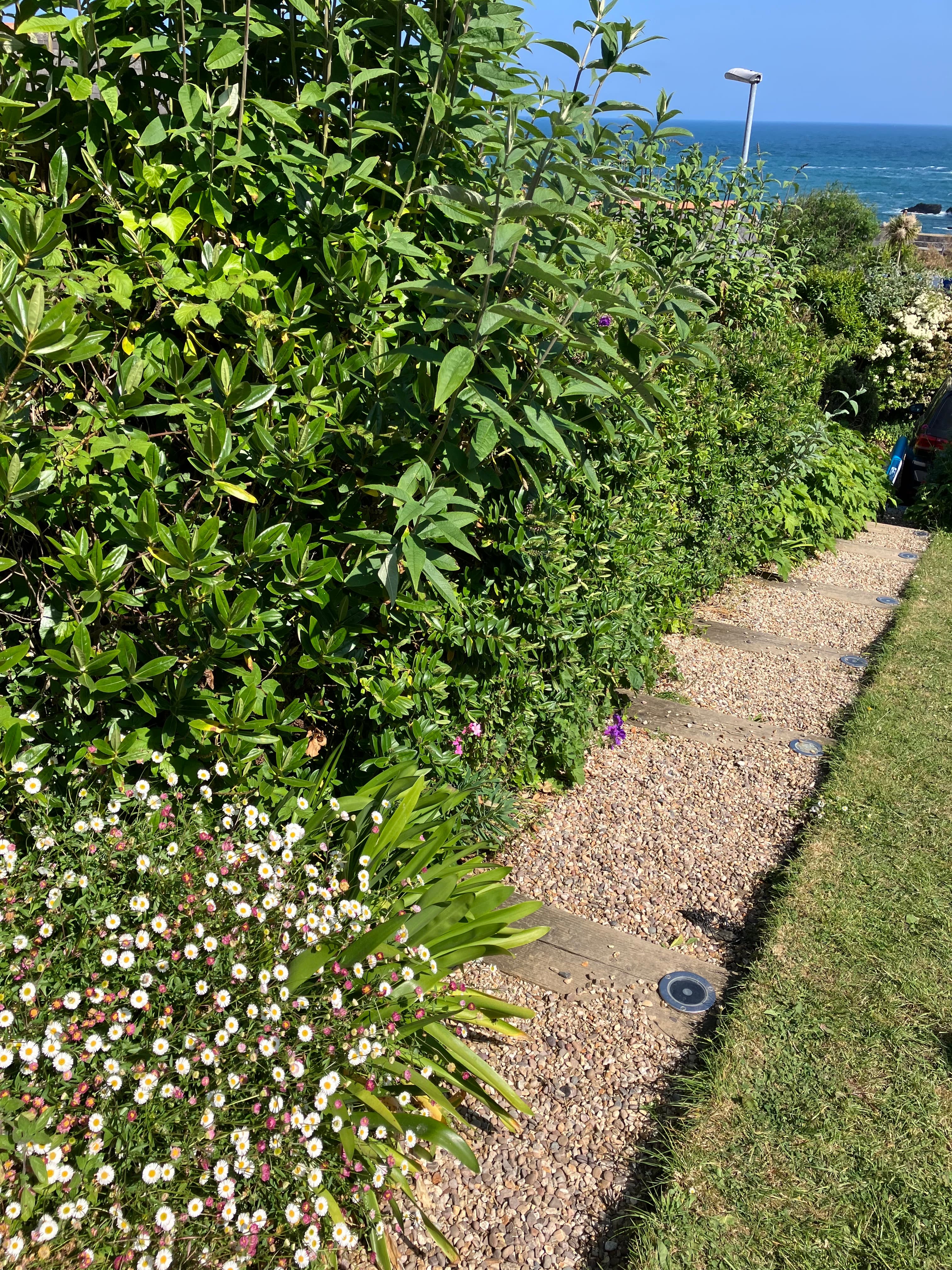 Garden path