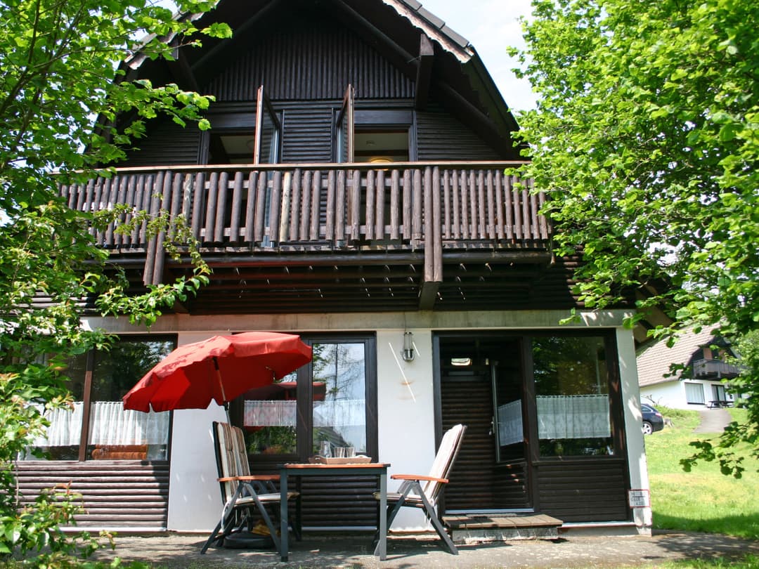 Large Image