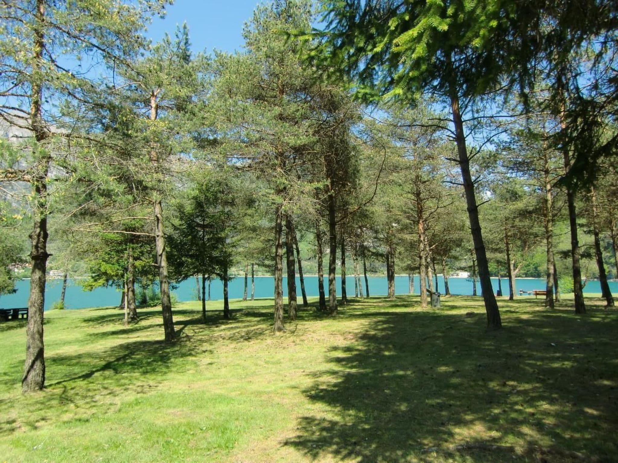 Gallery Image 22