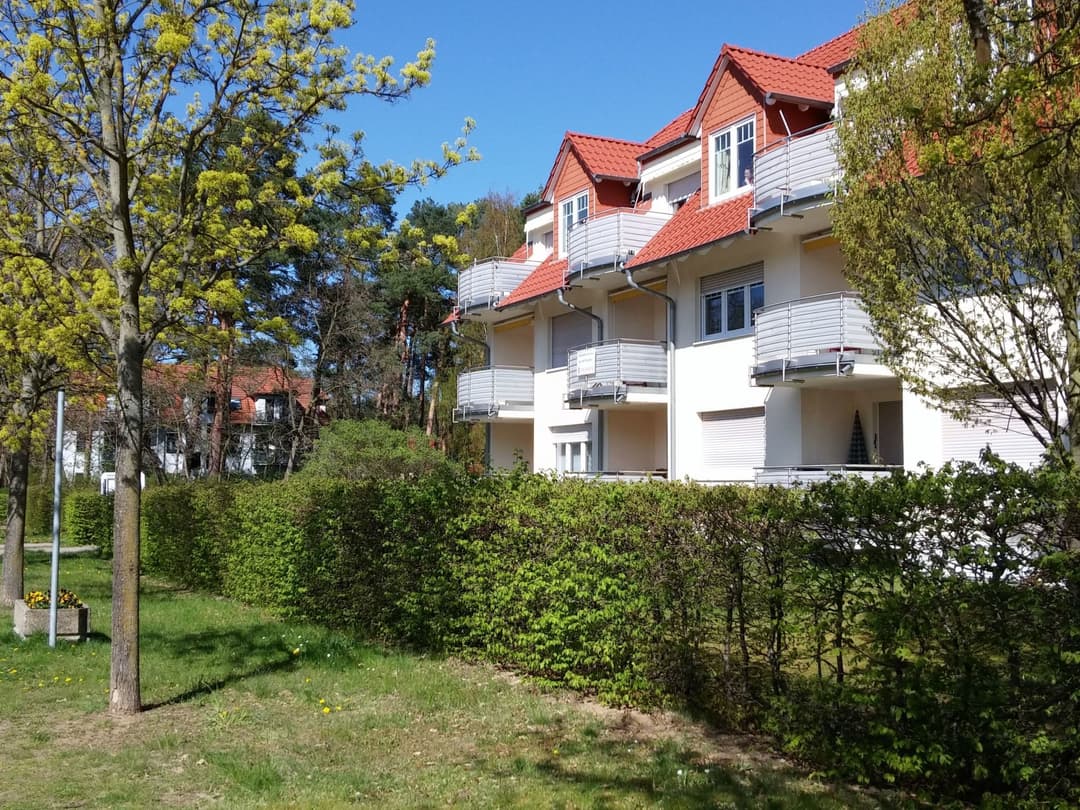 Large Image