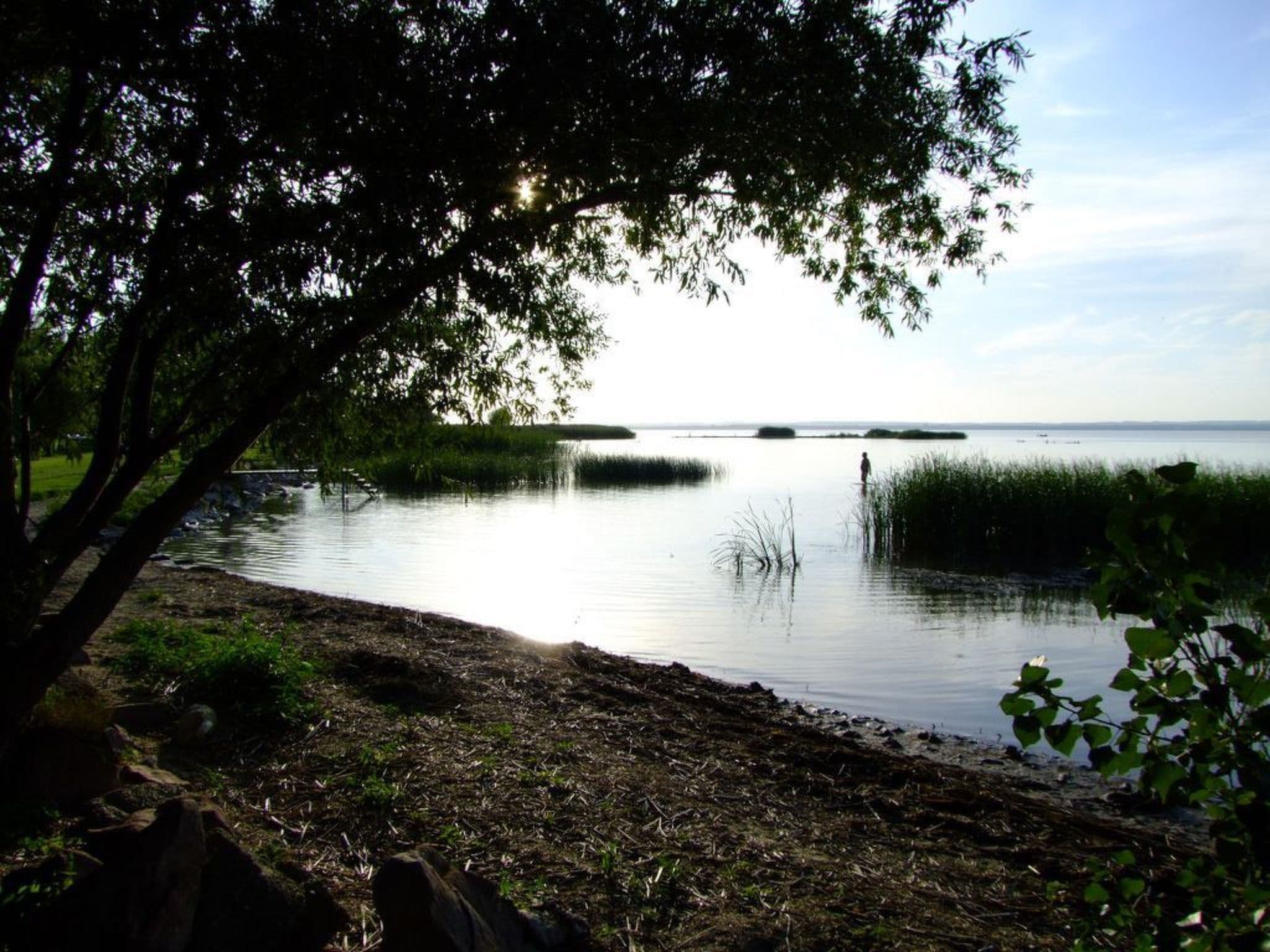 Gallery Image 23