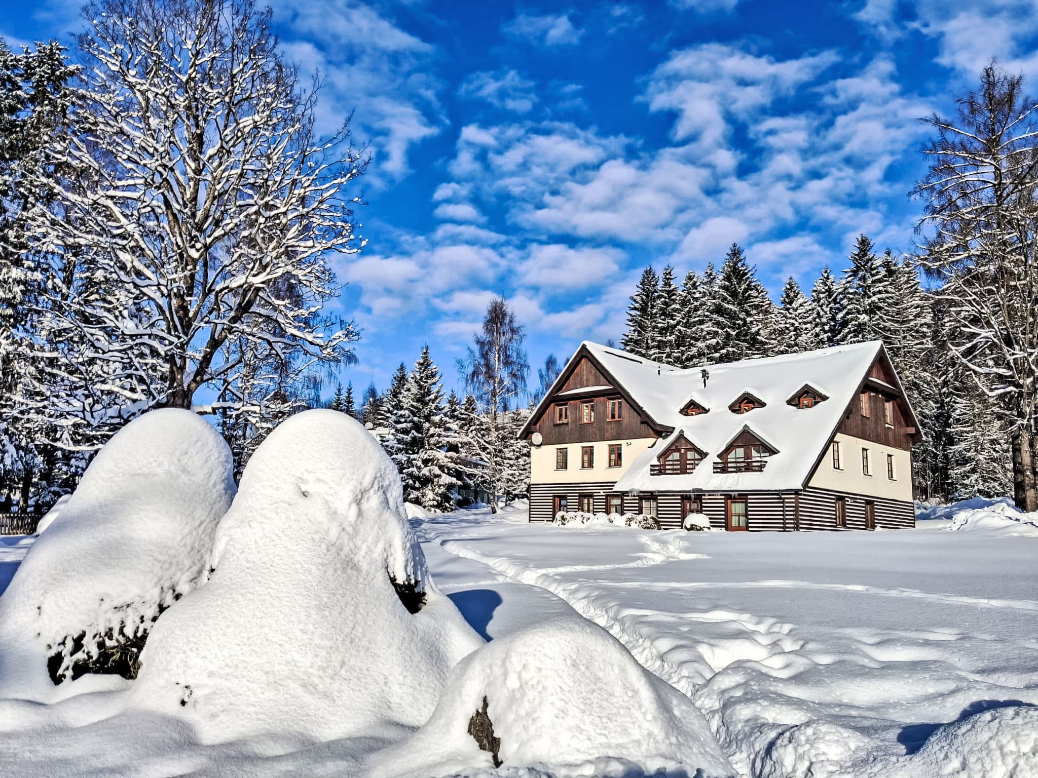 House