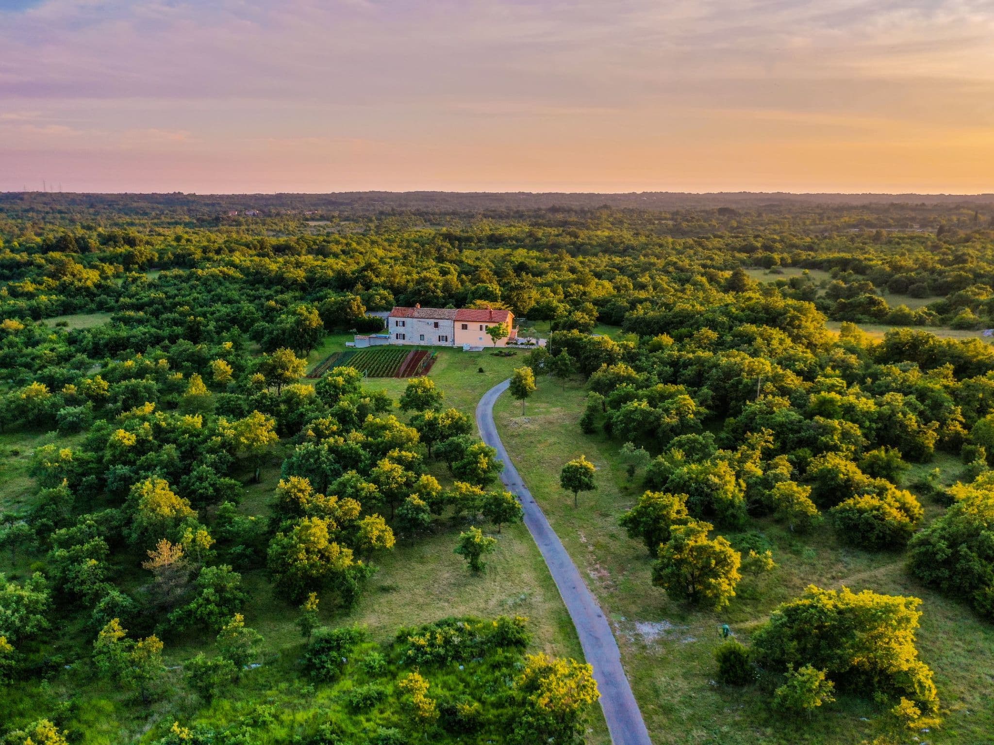 Aerial photography