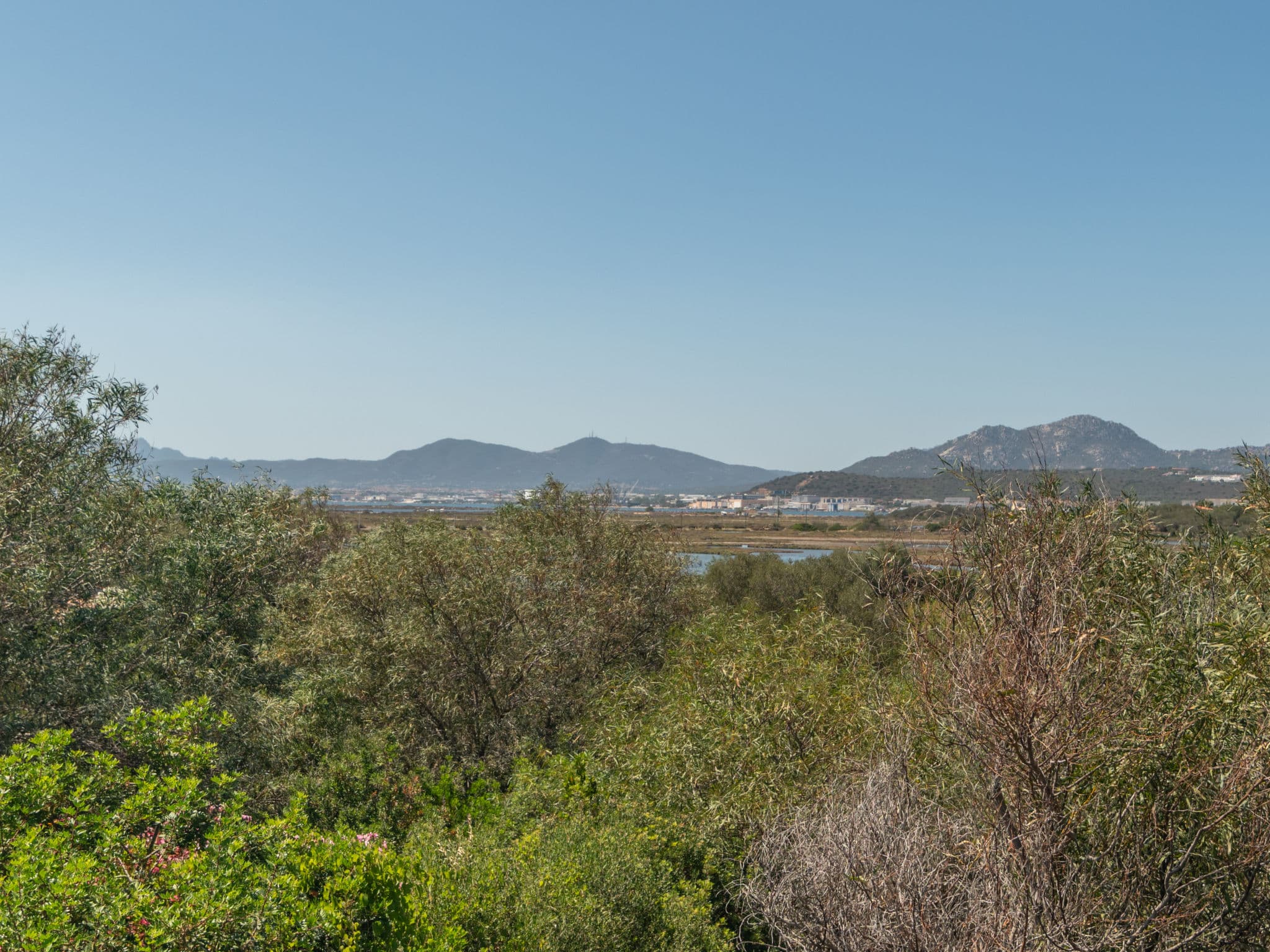 View