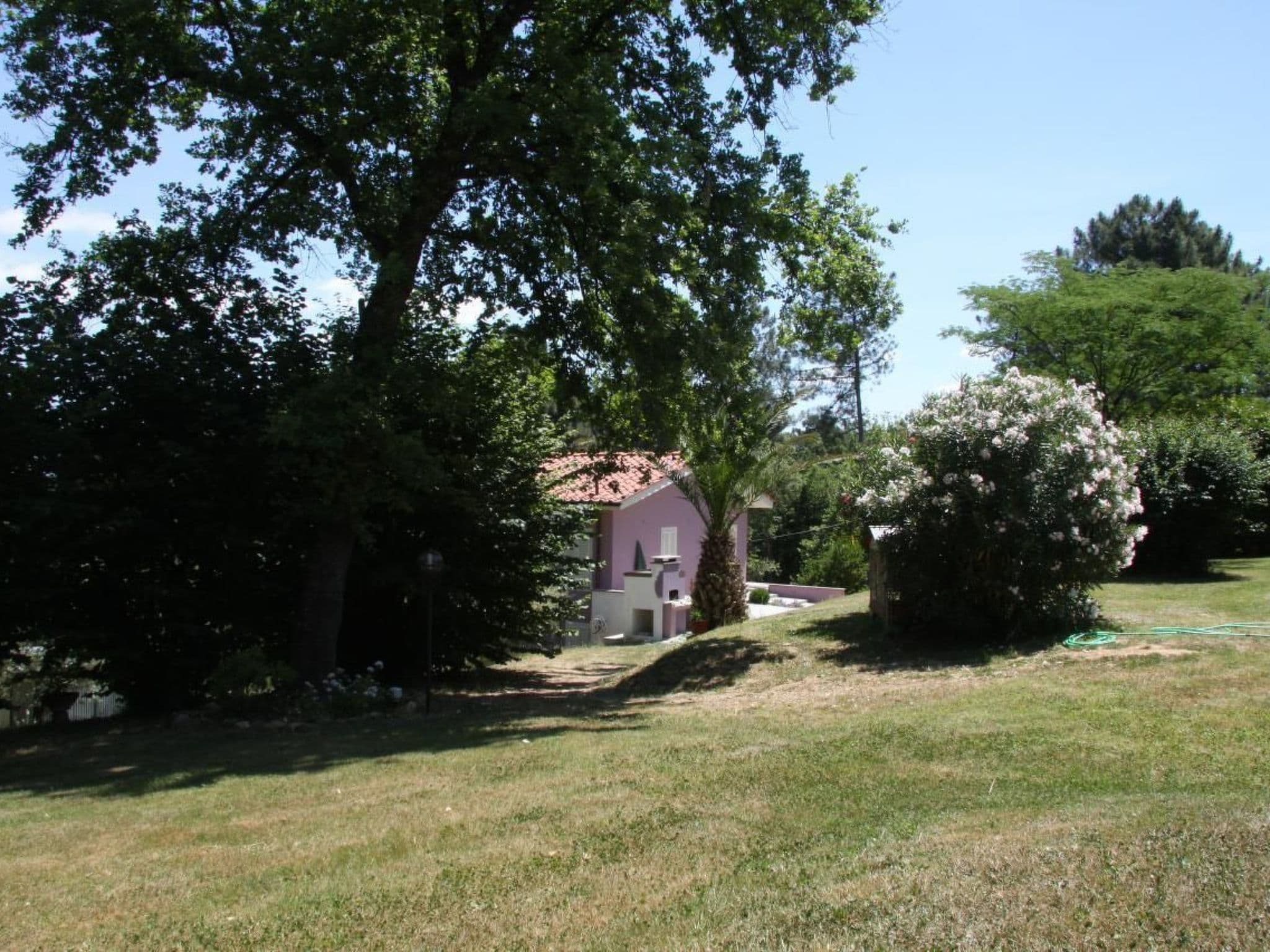 Gallery Image 17