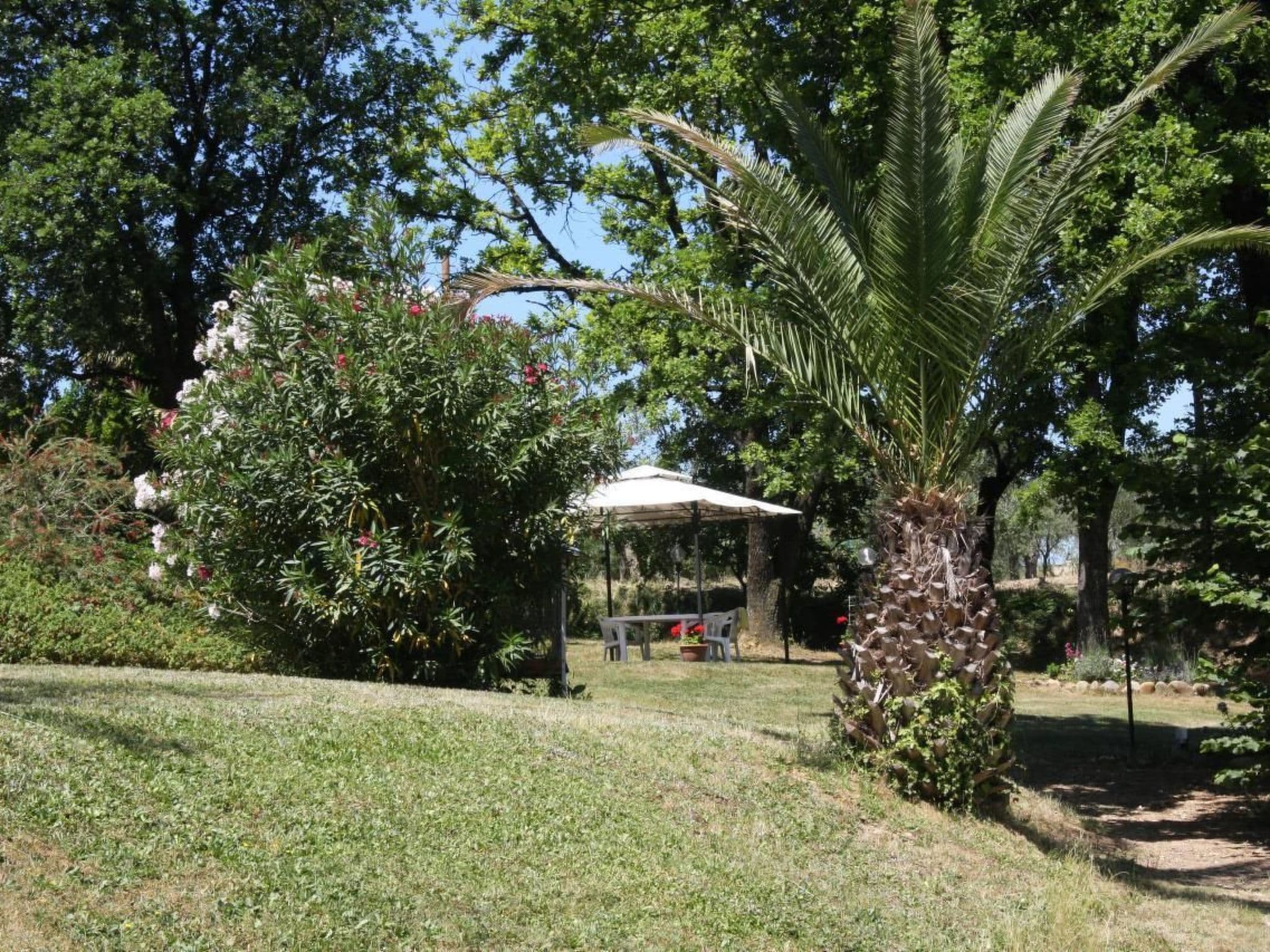 Gallery Image 18