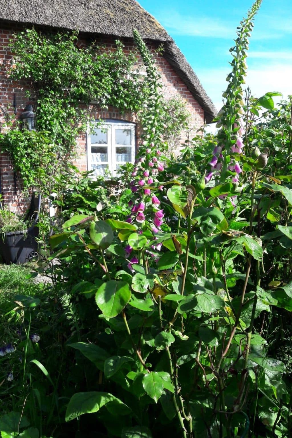 Gallery Image 14