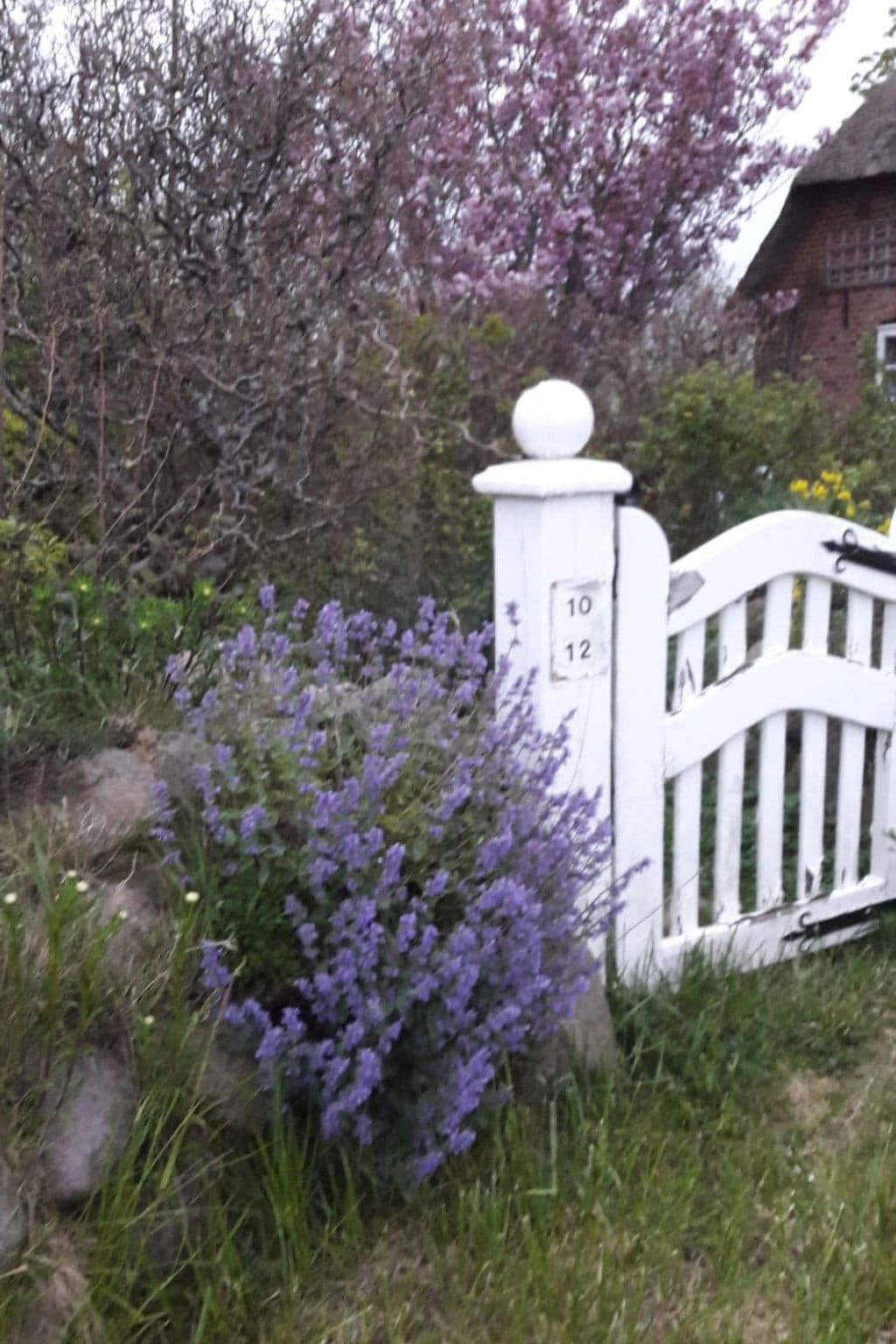 Gallery Image 15