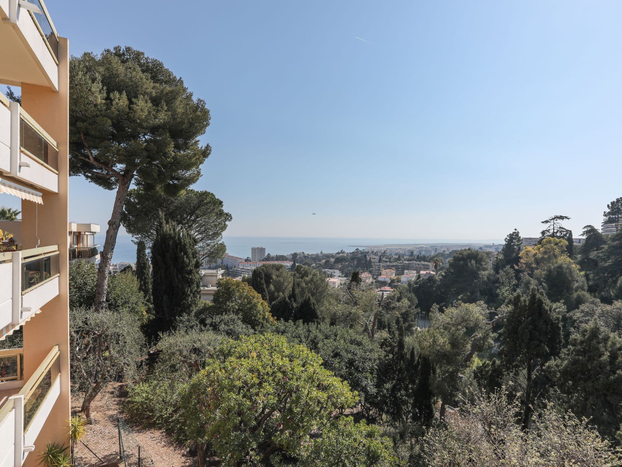 View