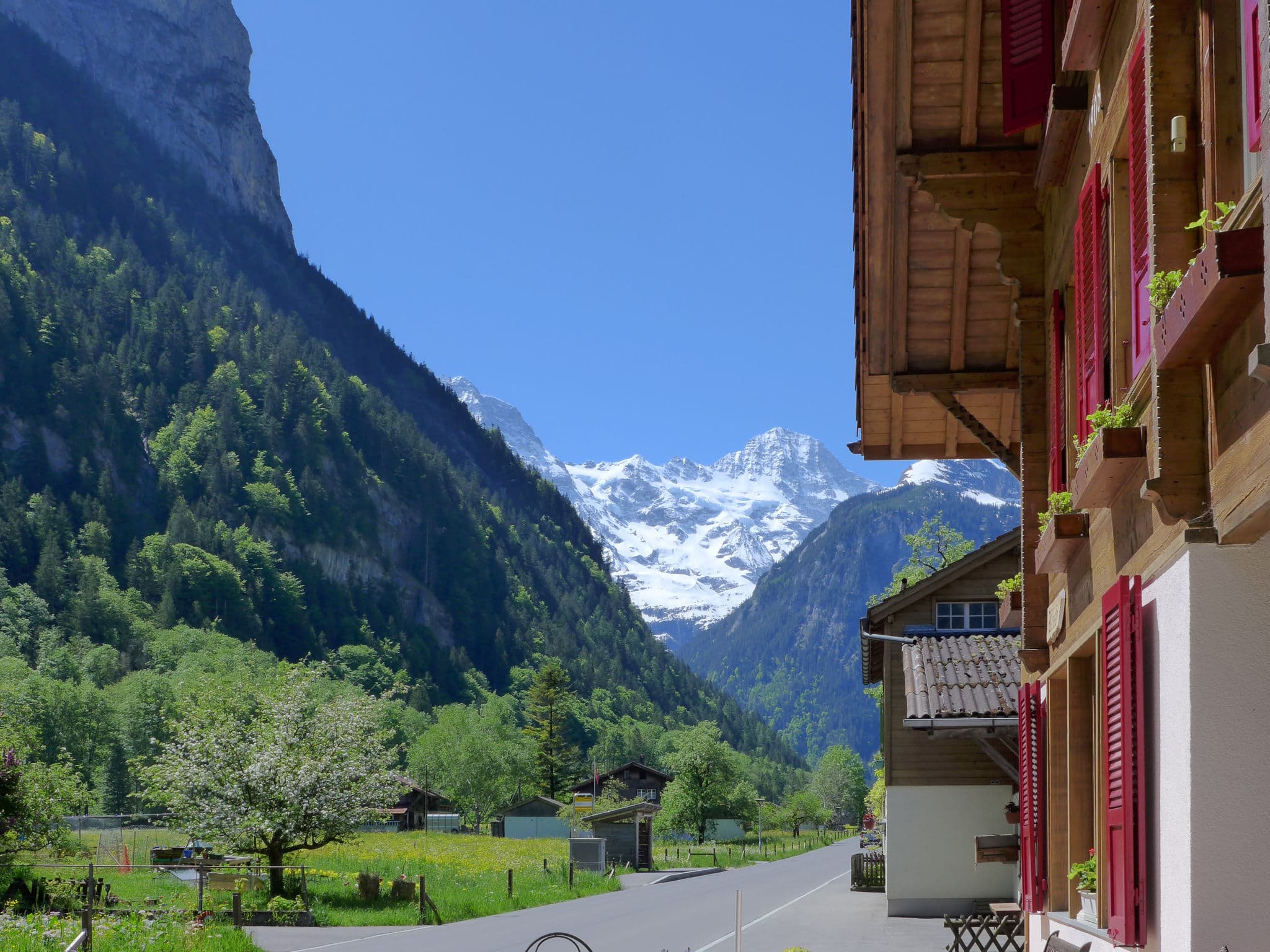 View