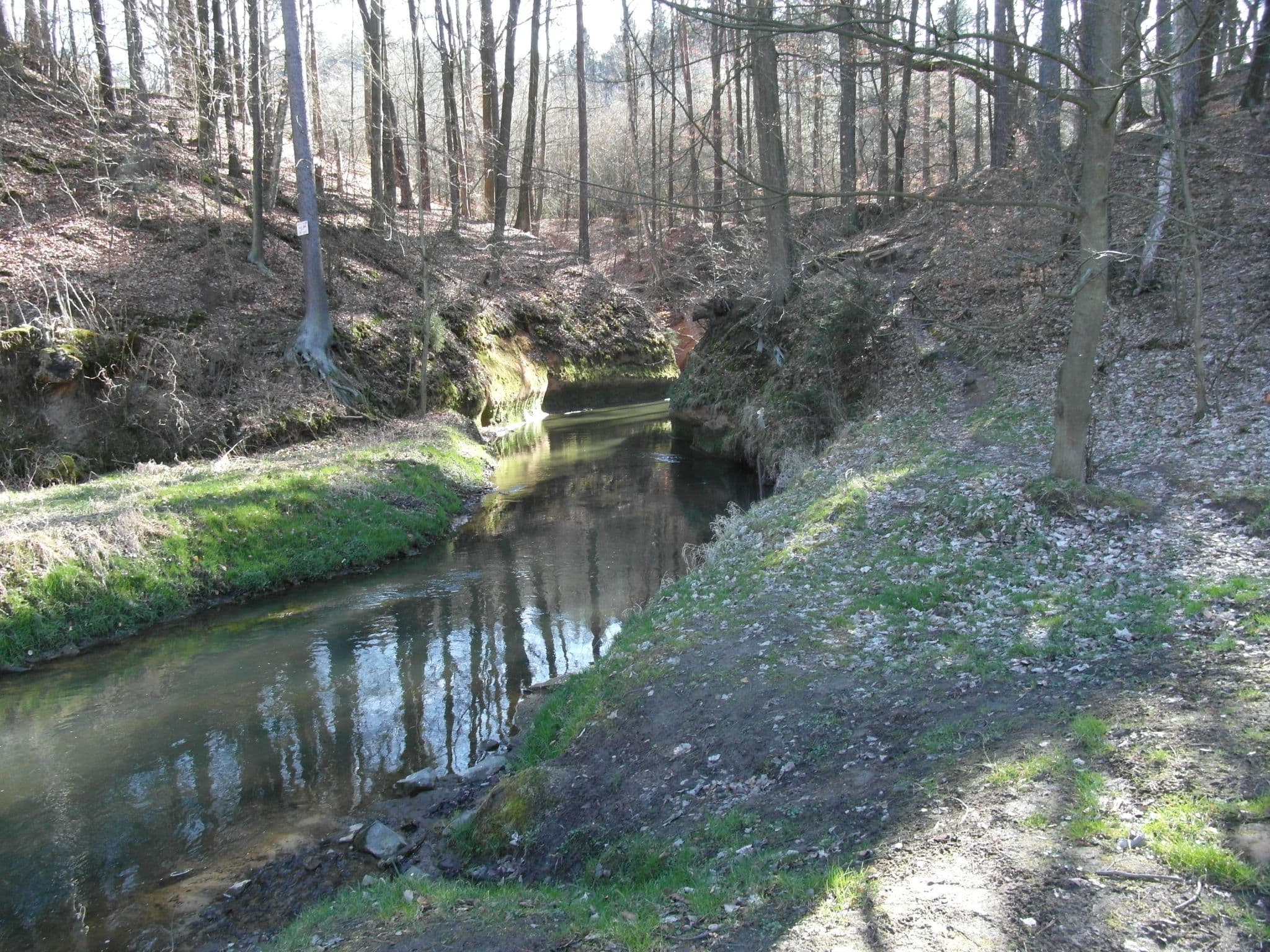 Gallery Image 29