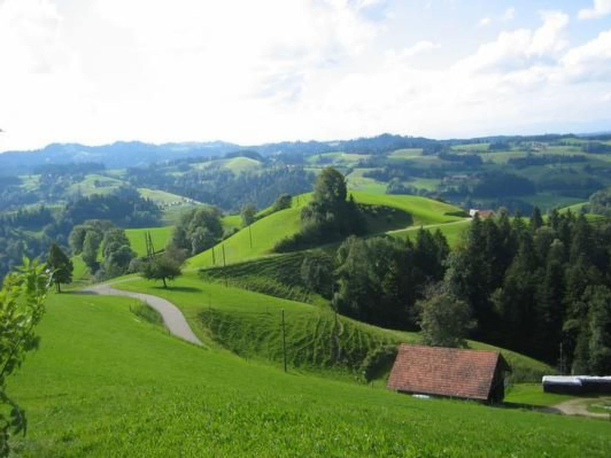 View
