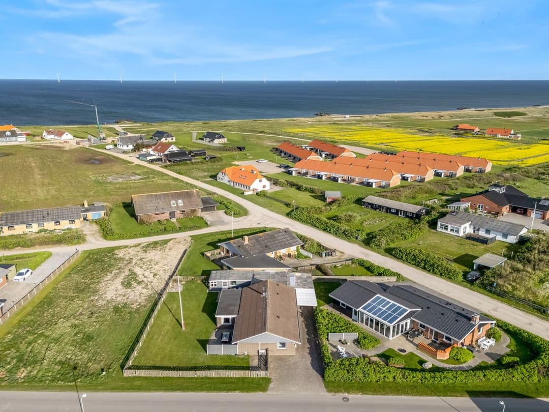Large Image