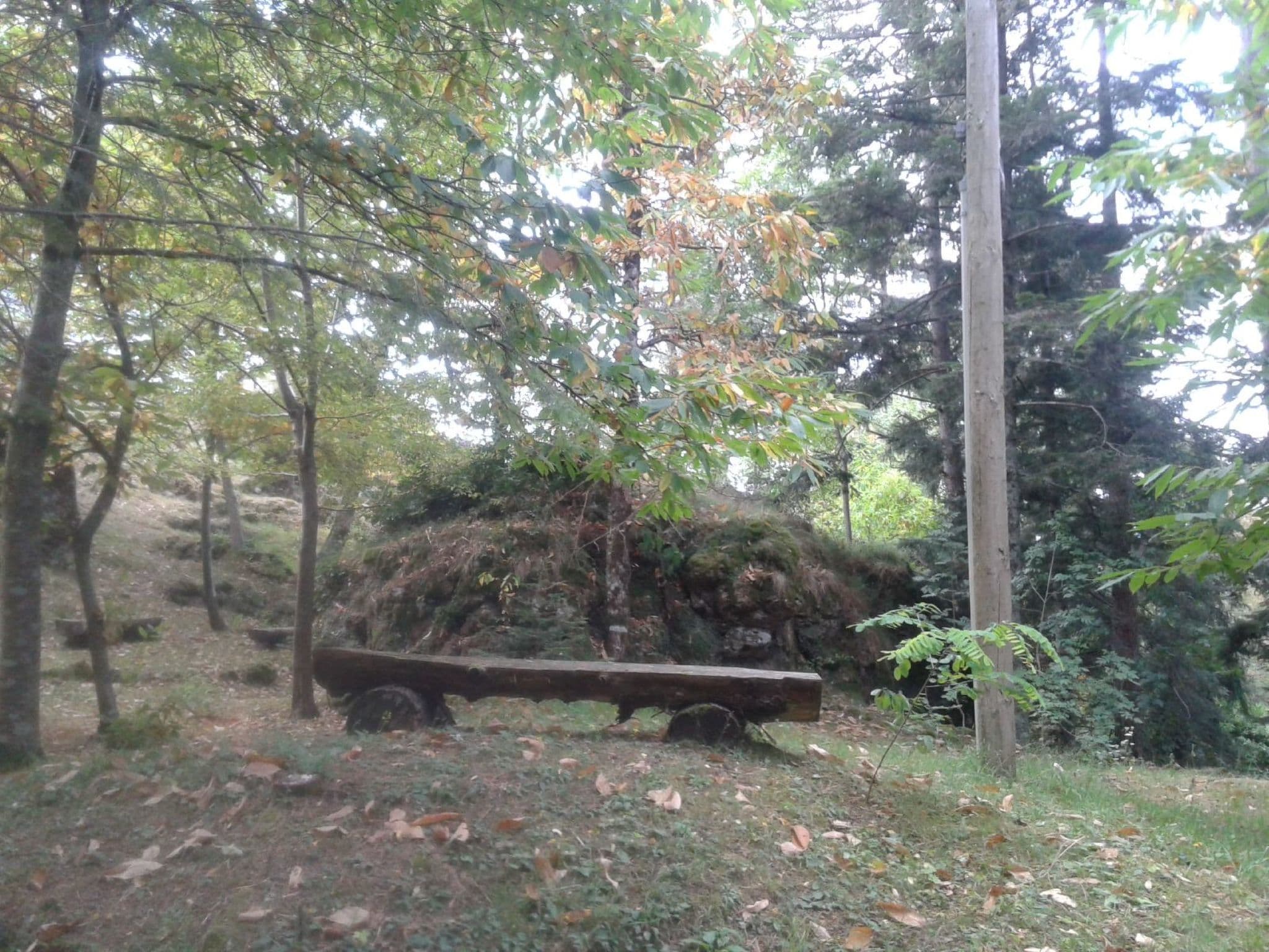 Gallery Image 9