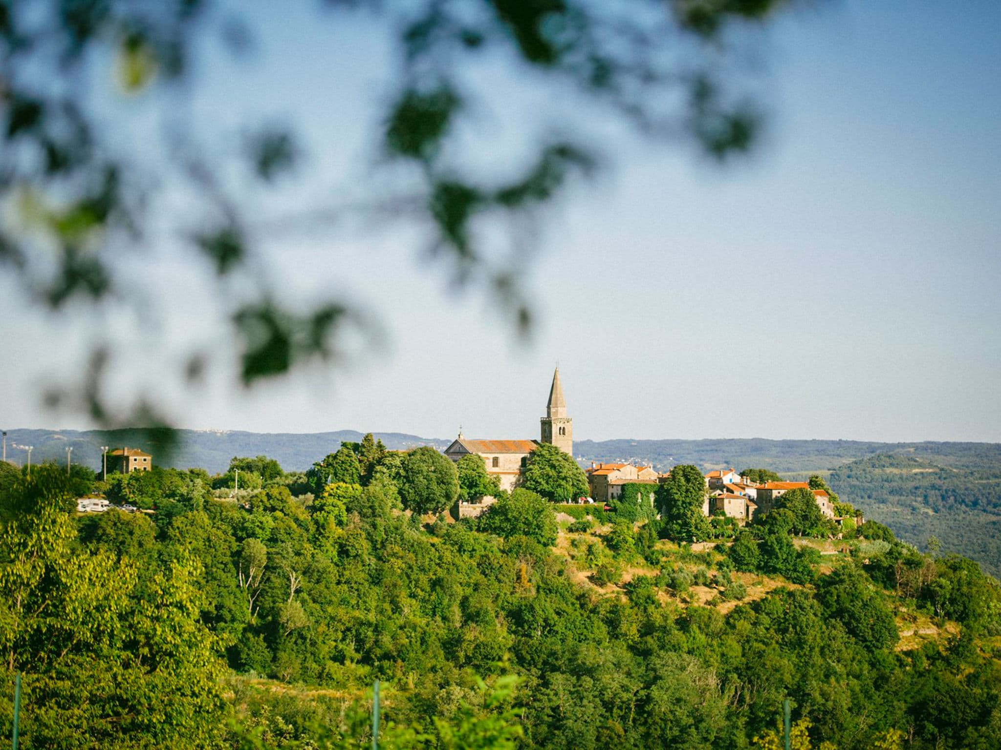 View