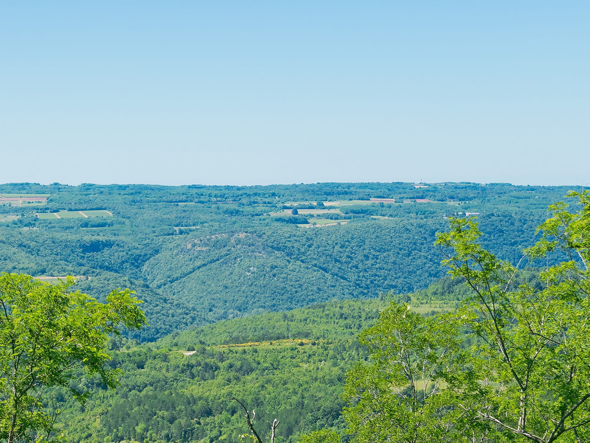 View