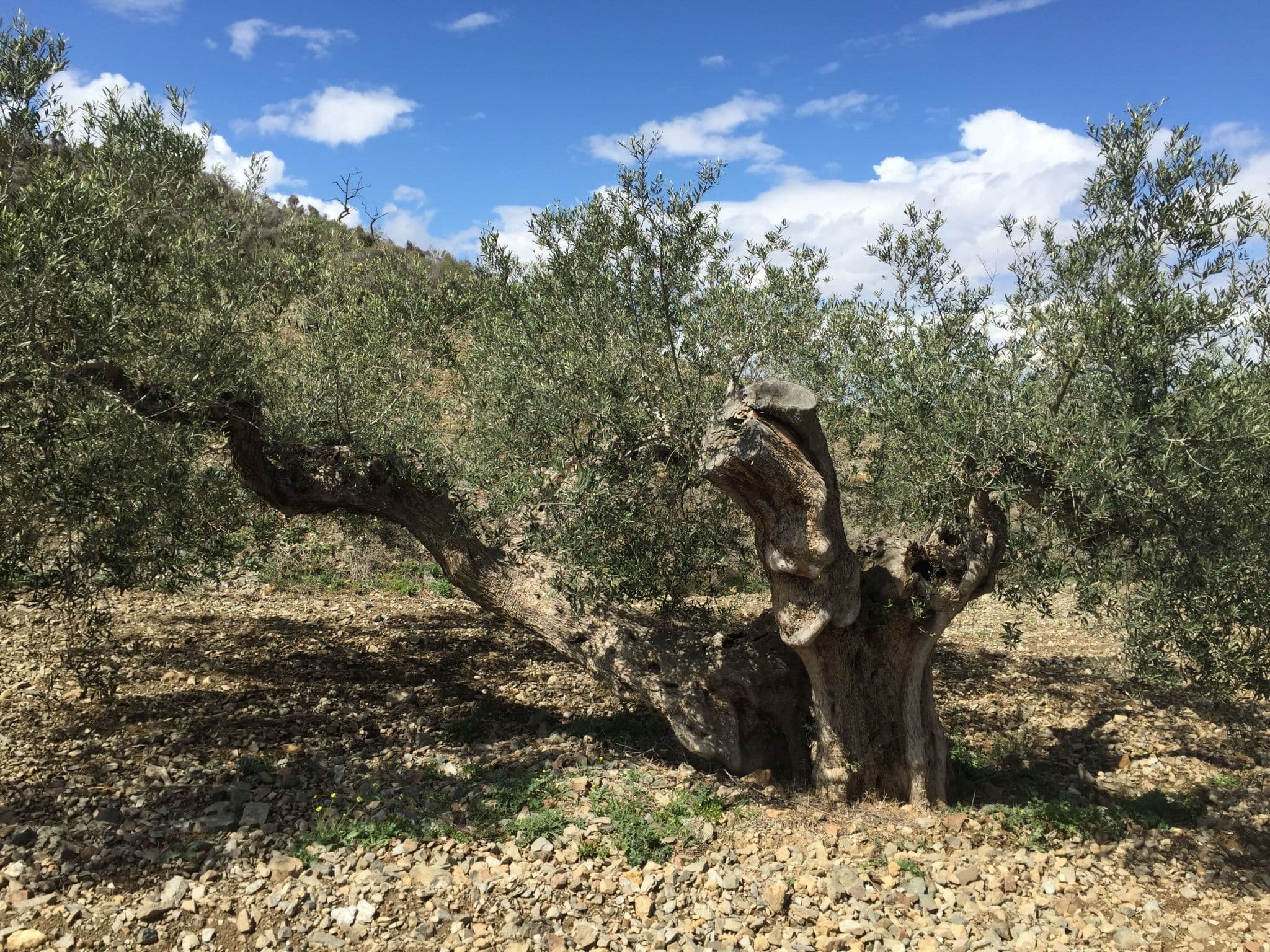 Gallery Image 58