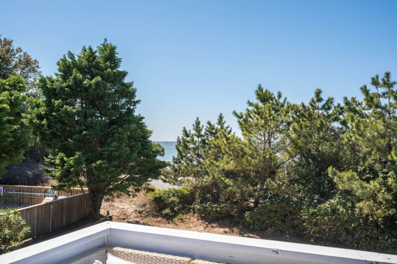 Lush treetops surround the property, creating a private, leafy backdrop.