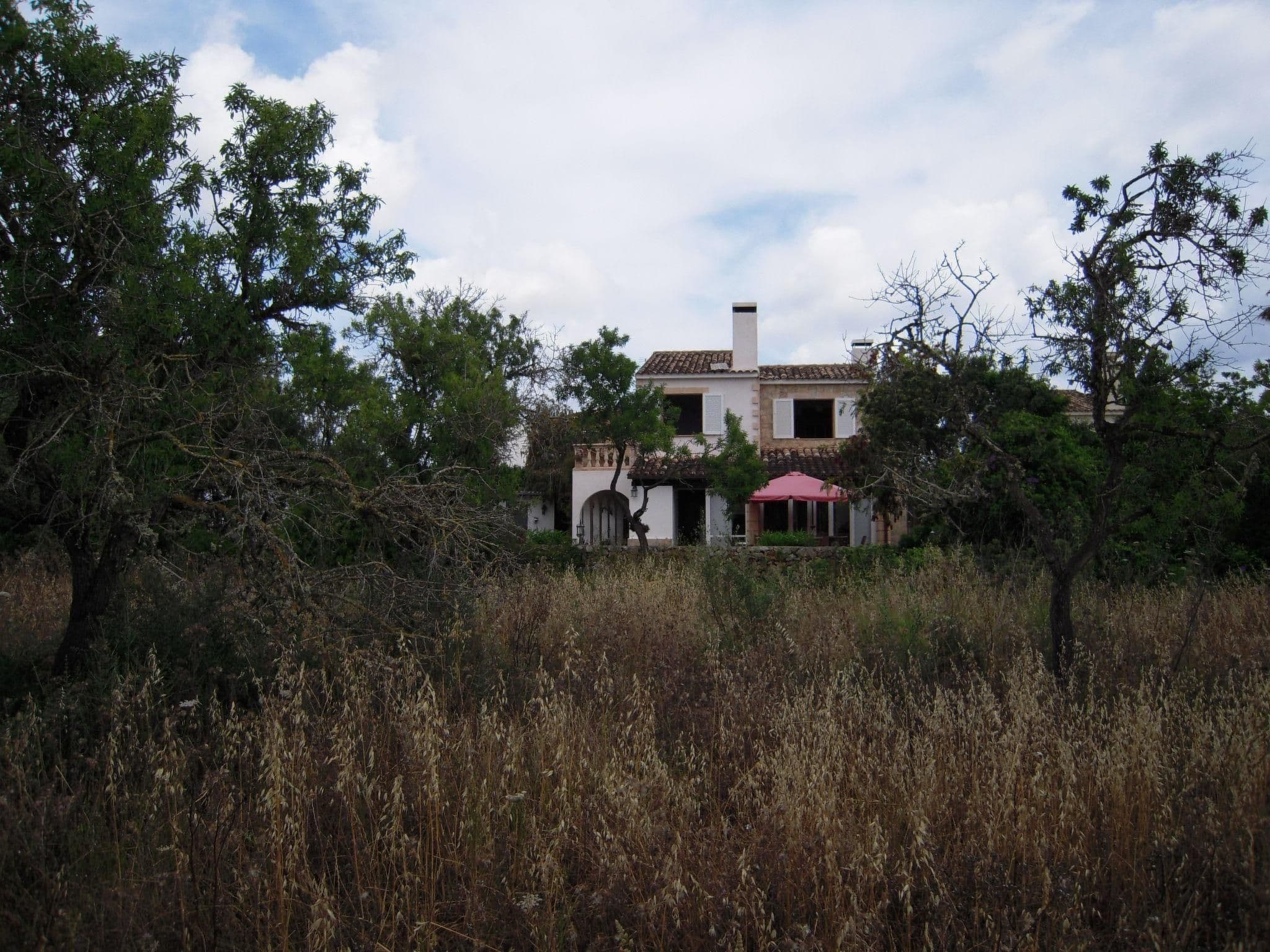Gallery Image 8