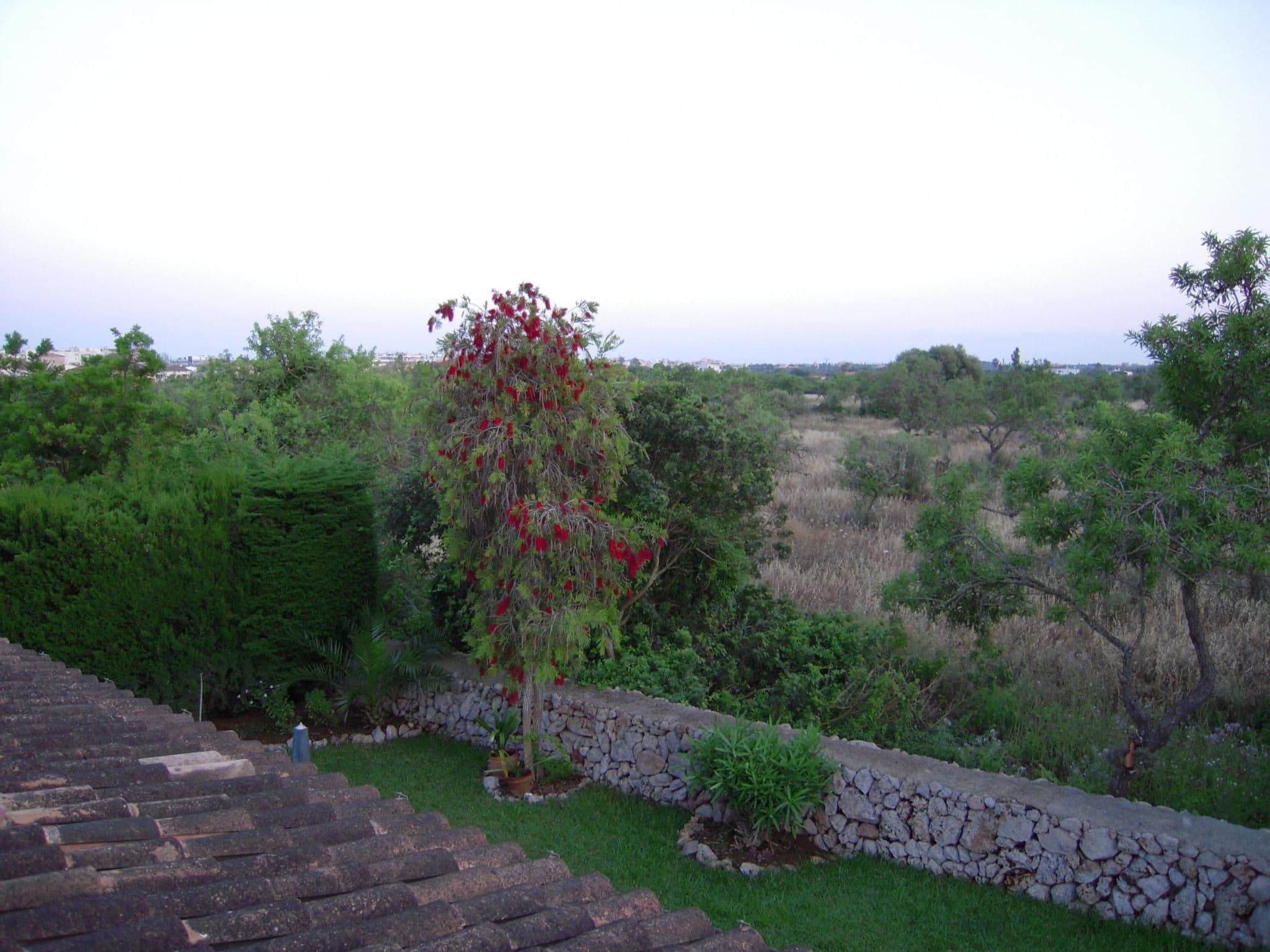 Gallery Image 9