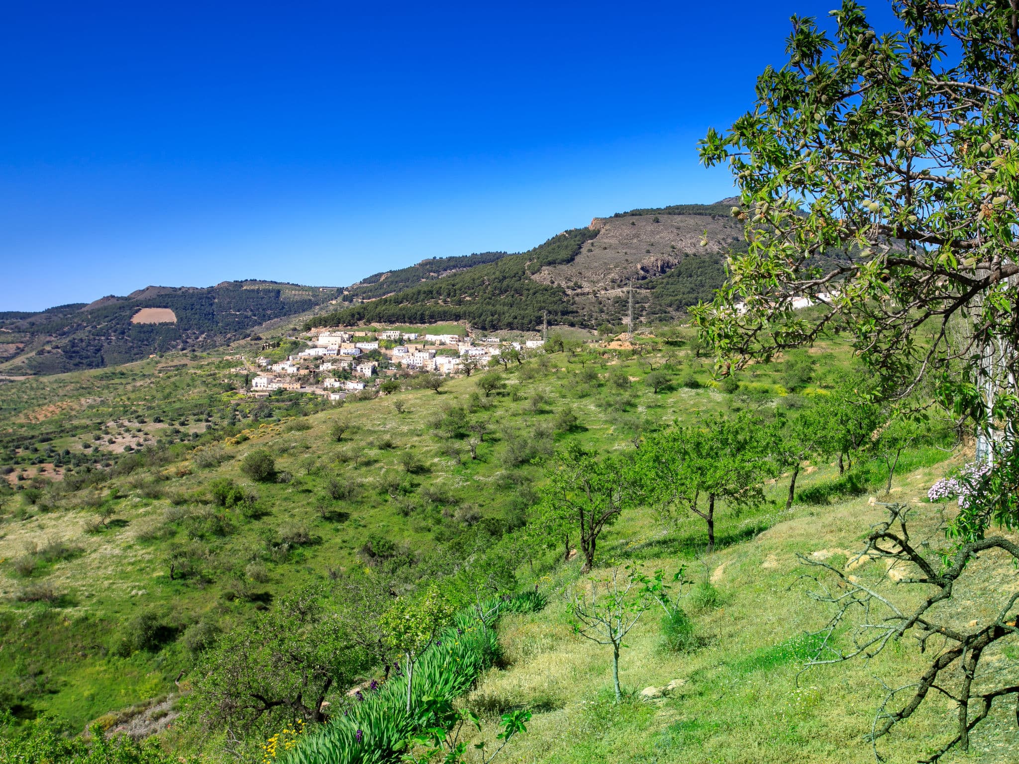 View