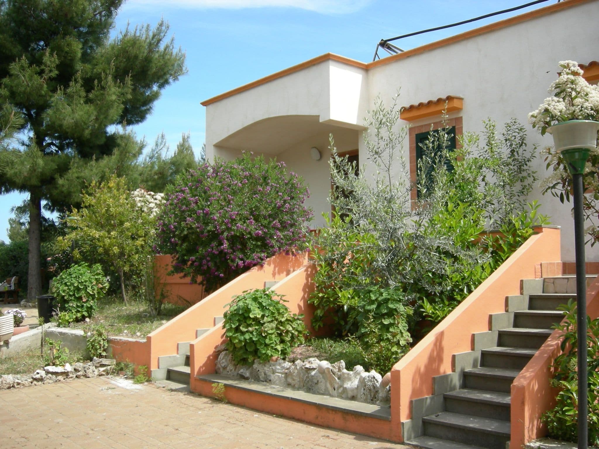 Gallery Image 20