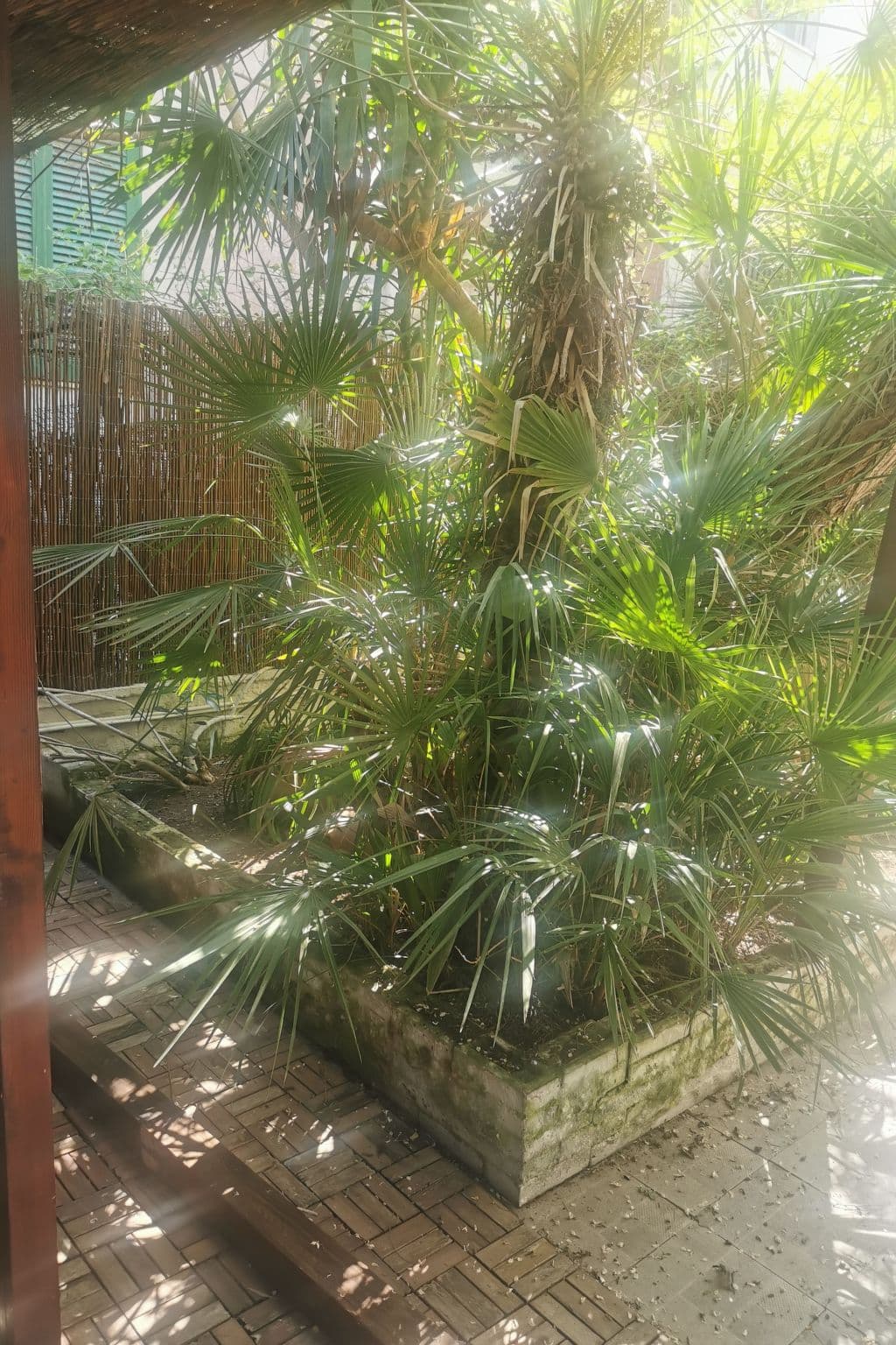 Gallery Image 26