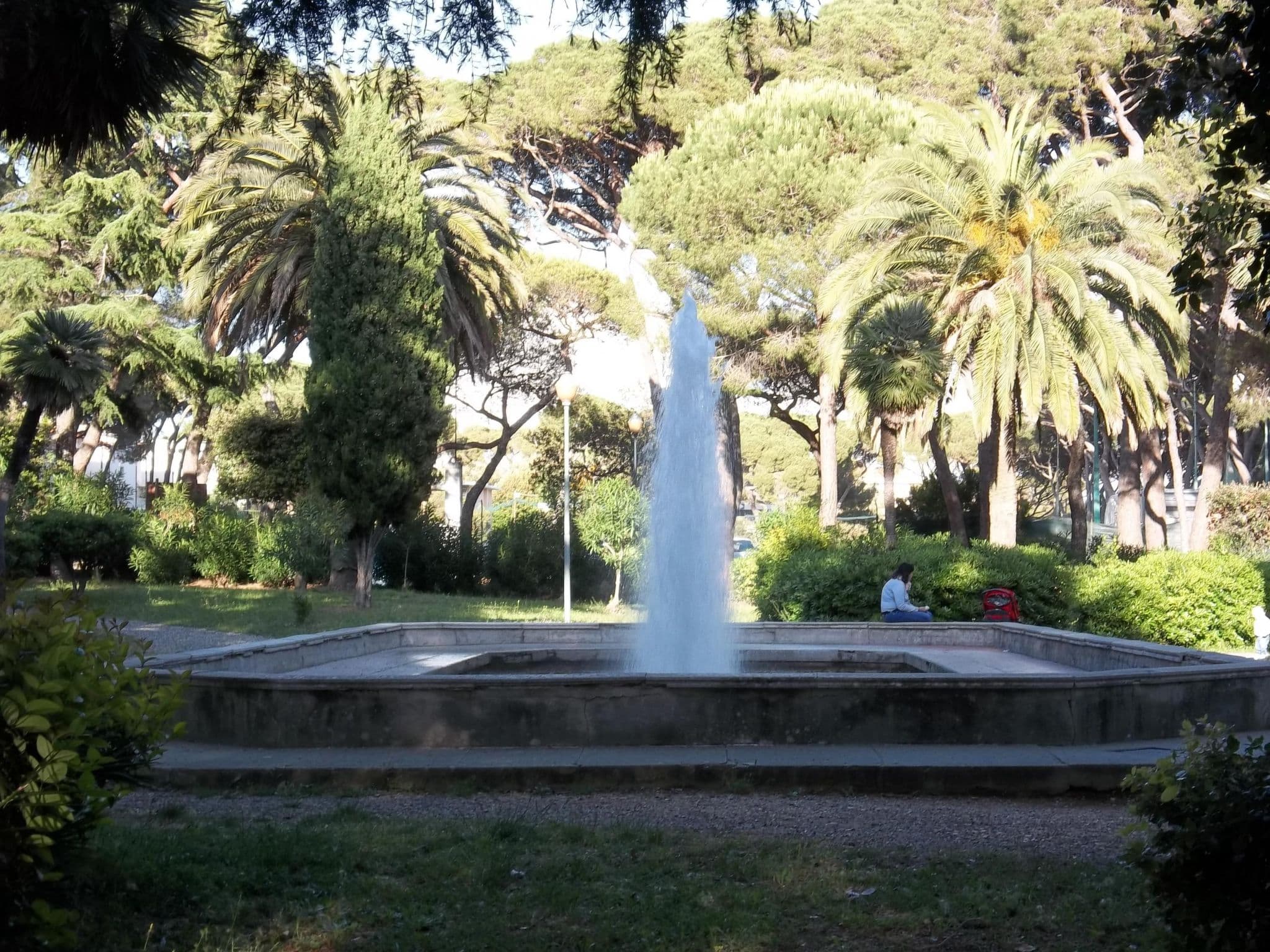Gallery Image 19