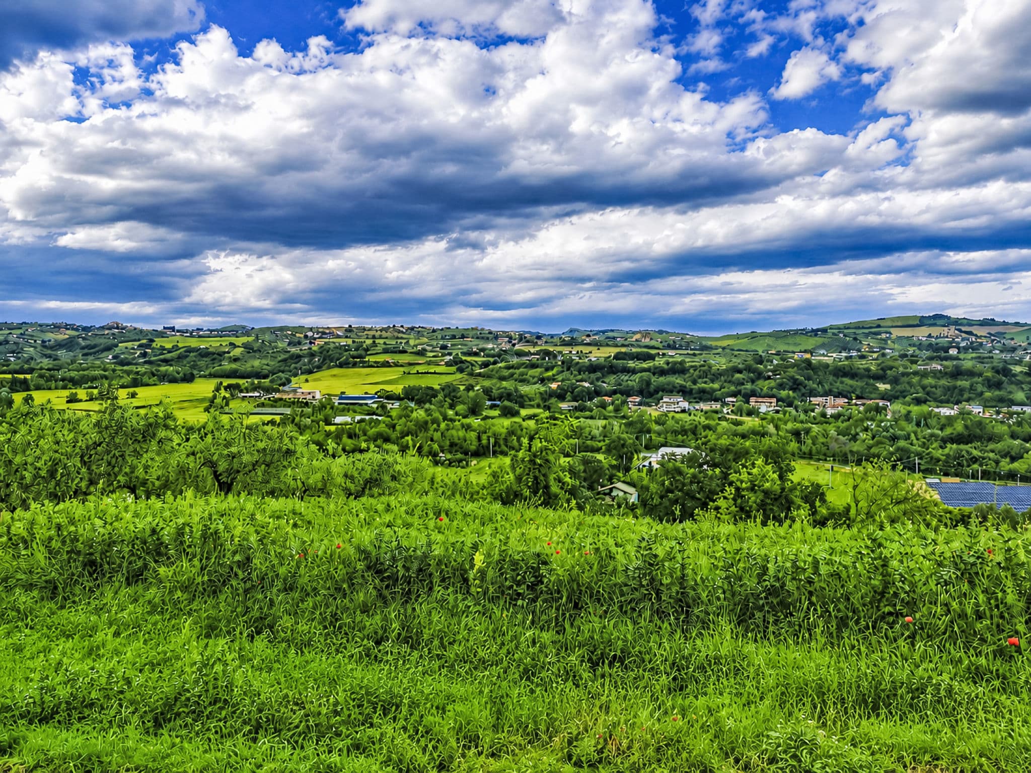 View