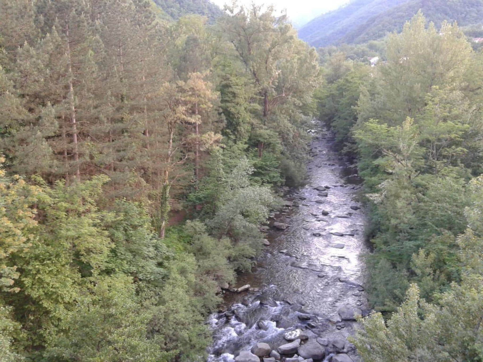 Gallery Image 39