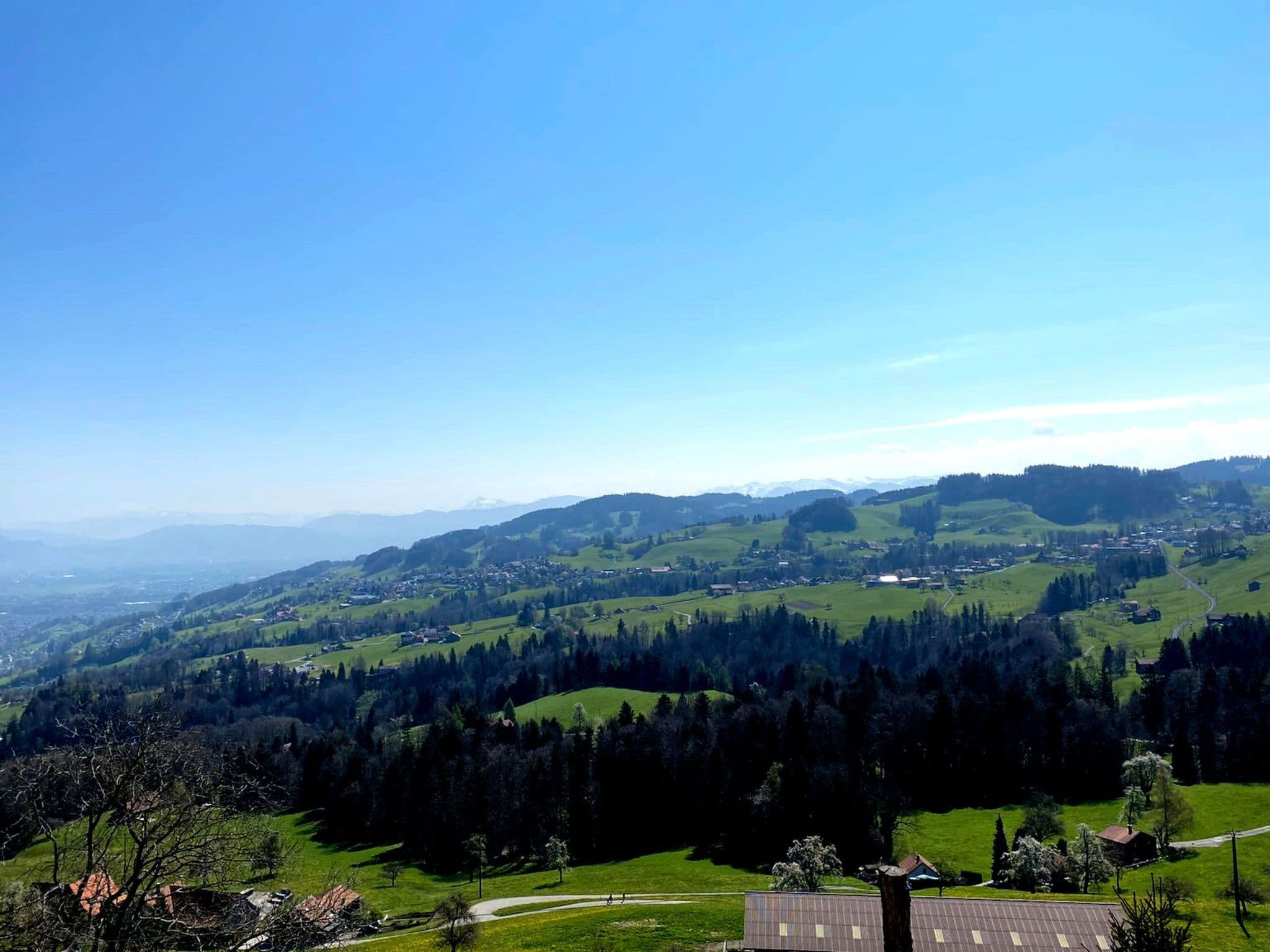 View