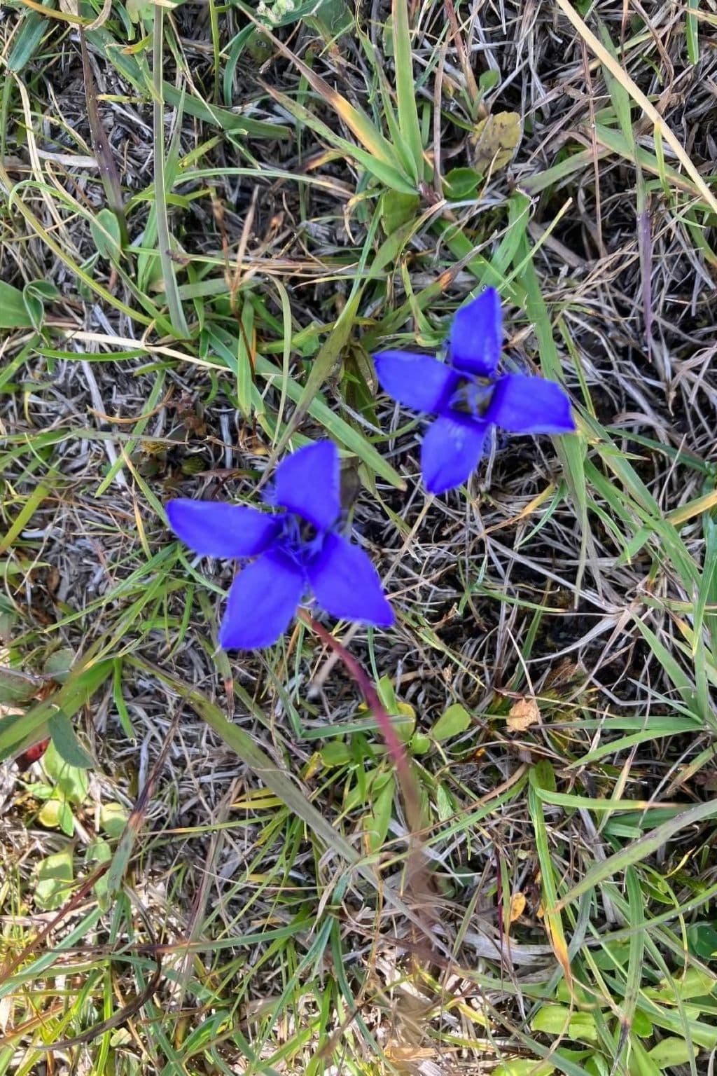 Gallery Image 29