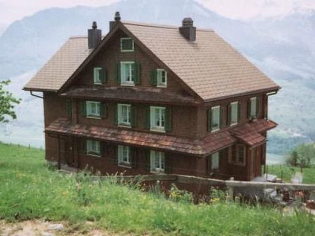 Large Image