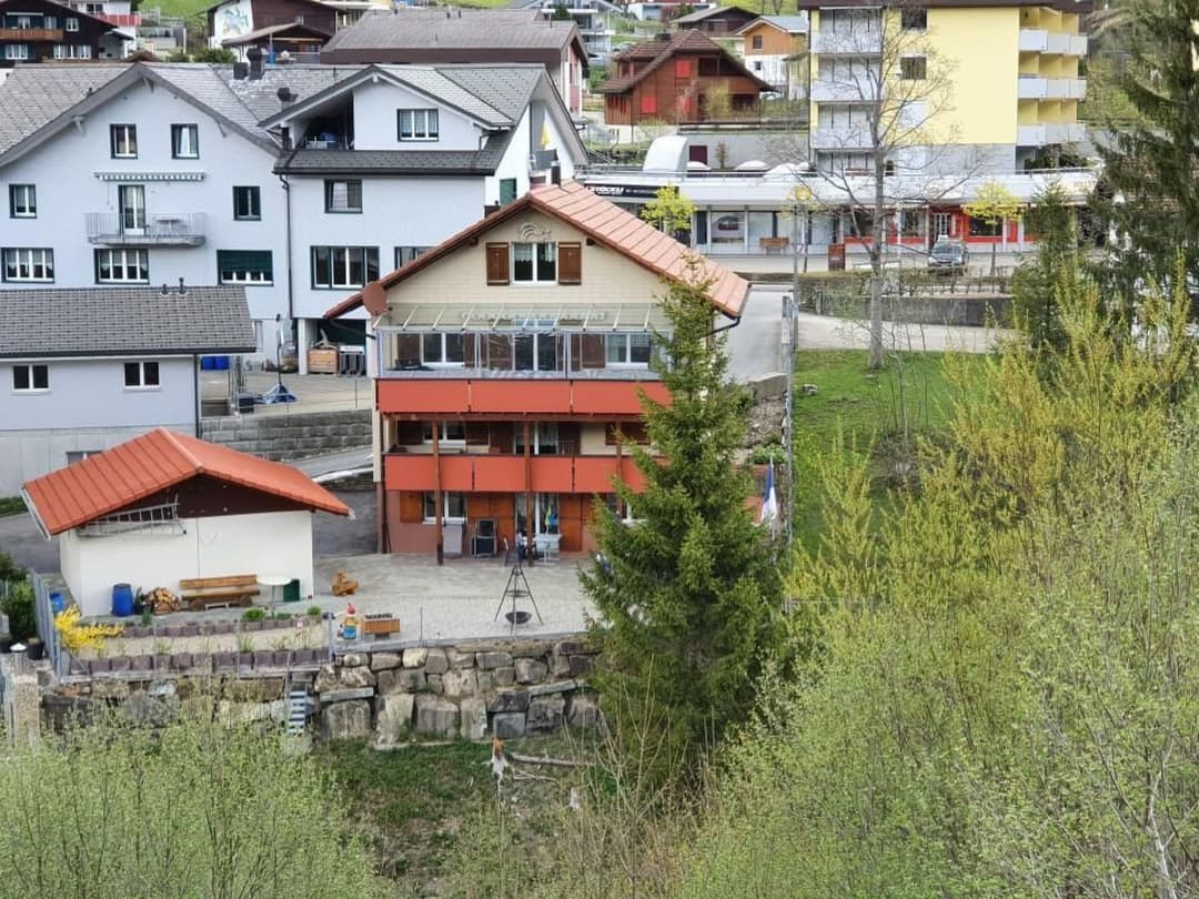 Large Image
