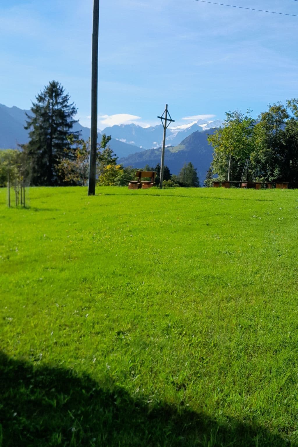 Gallery Image 13