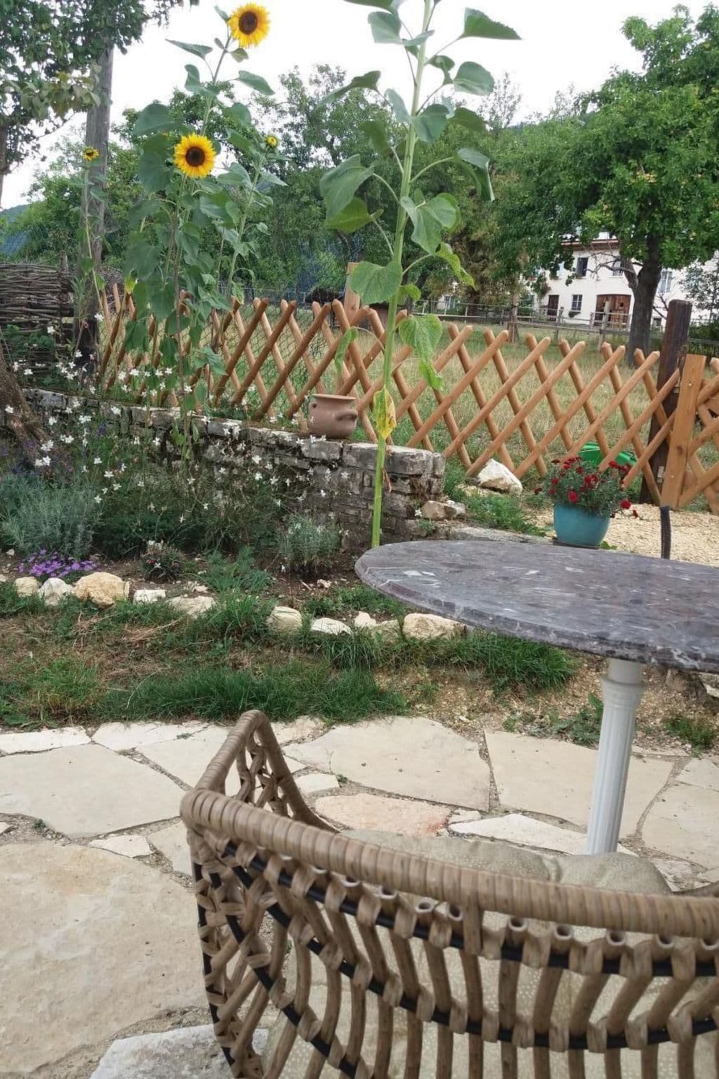 Terrace