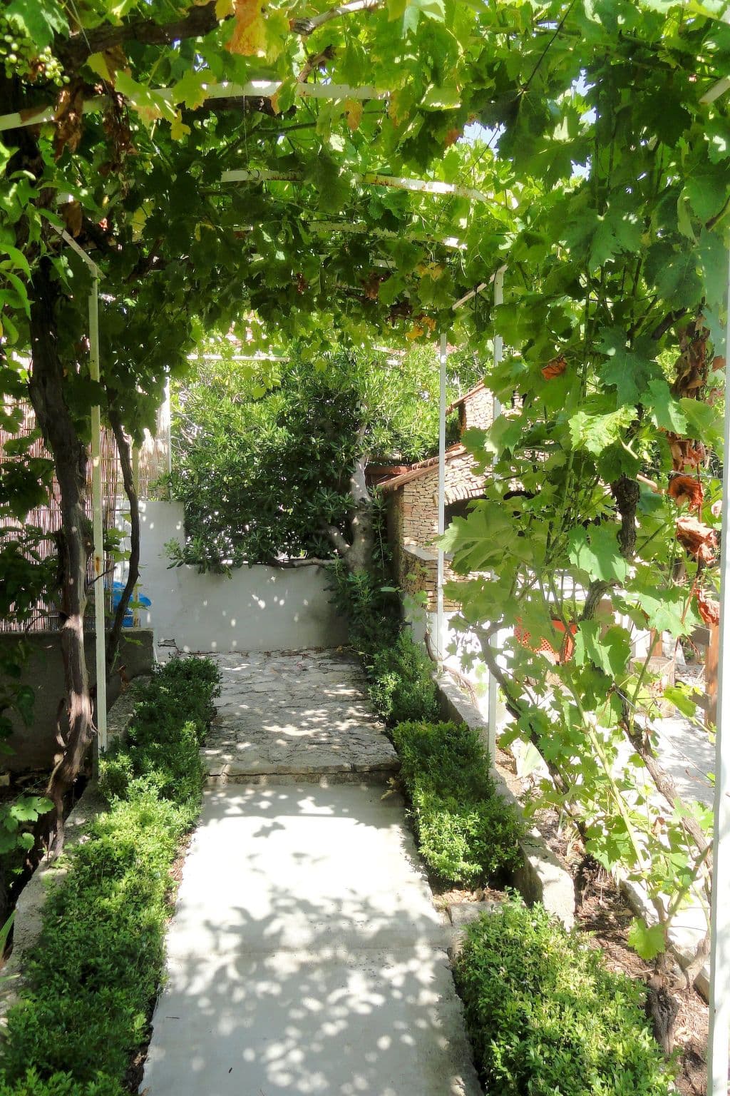 Gallery Image 14