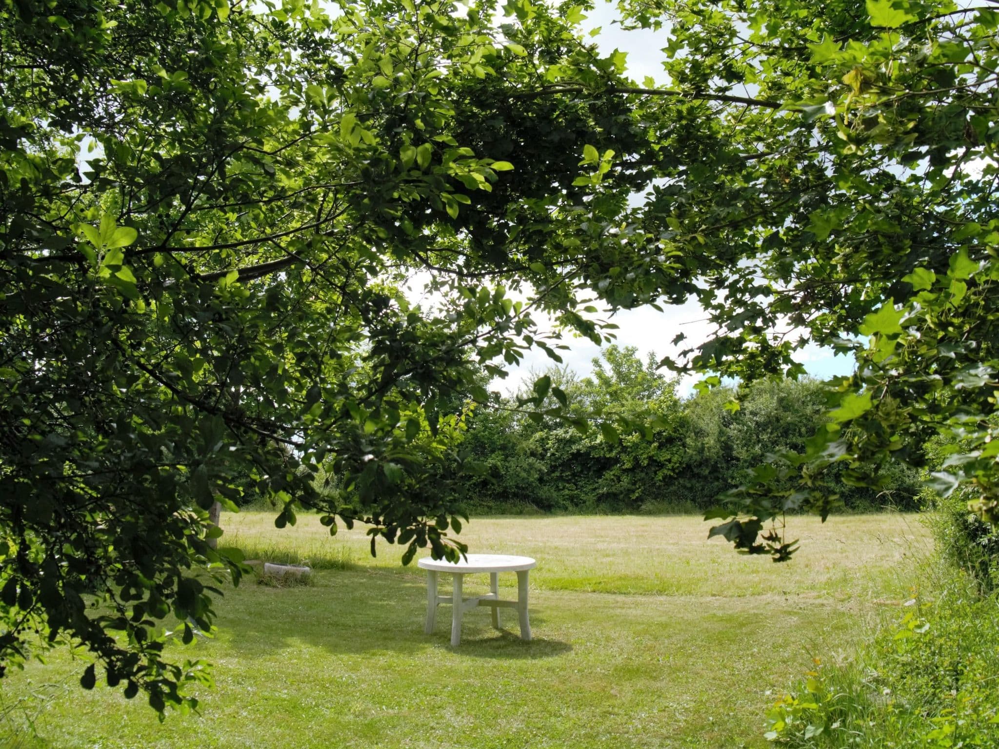 Gallery Image 27