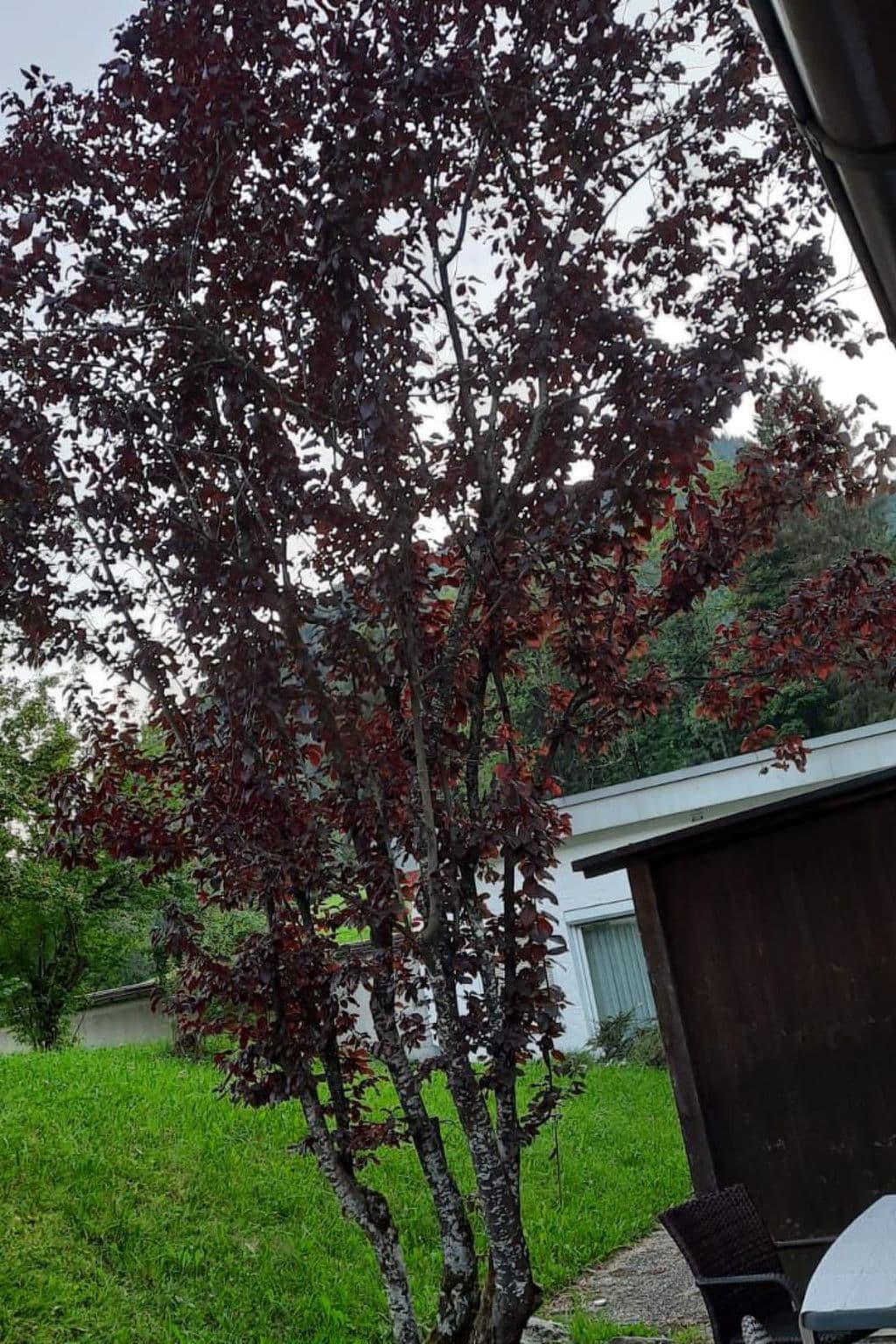 Gallery Image 13