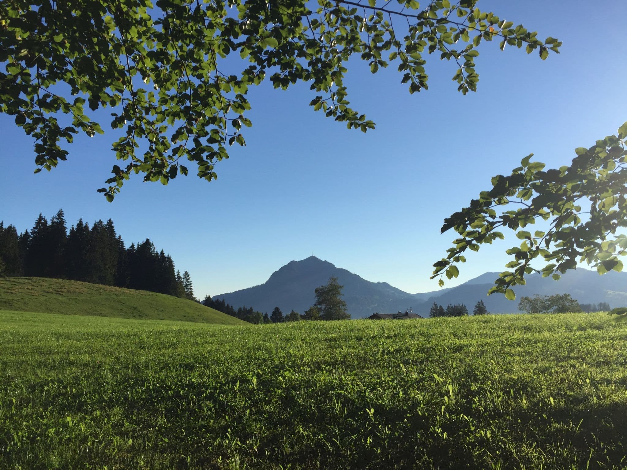 View