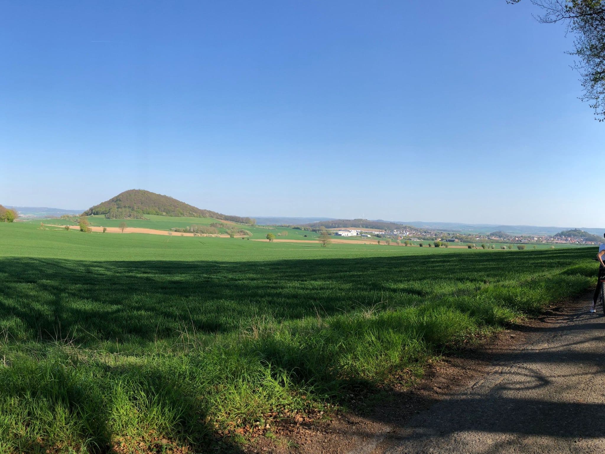 View