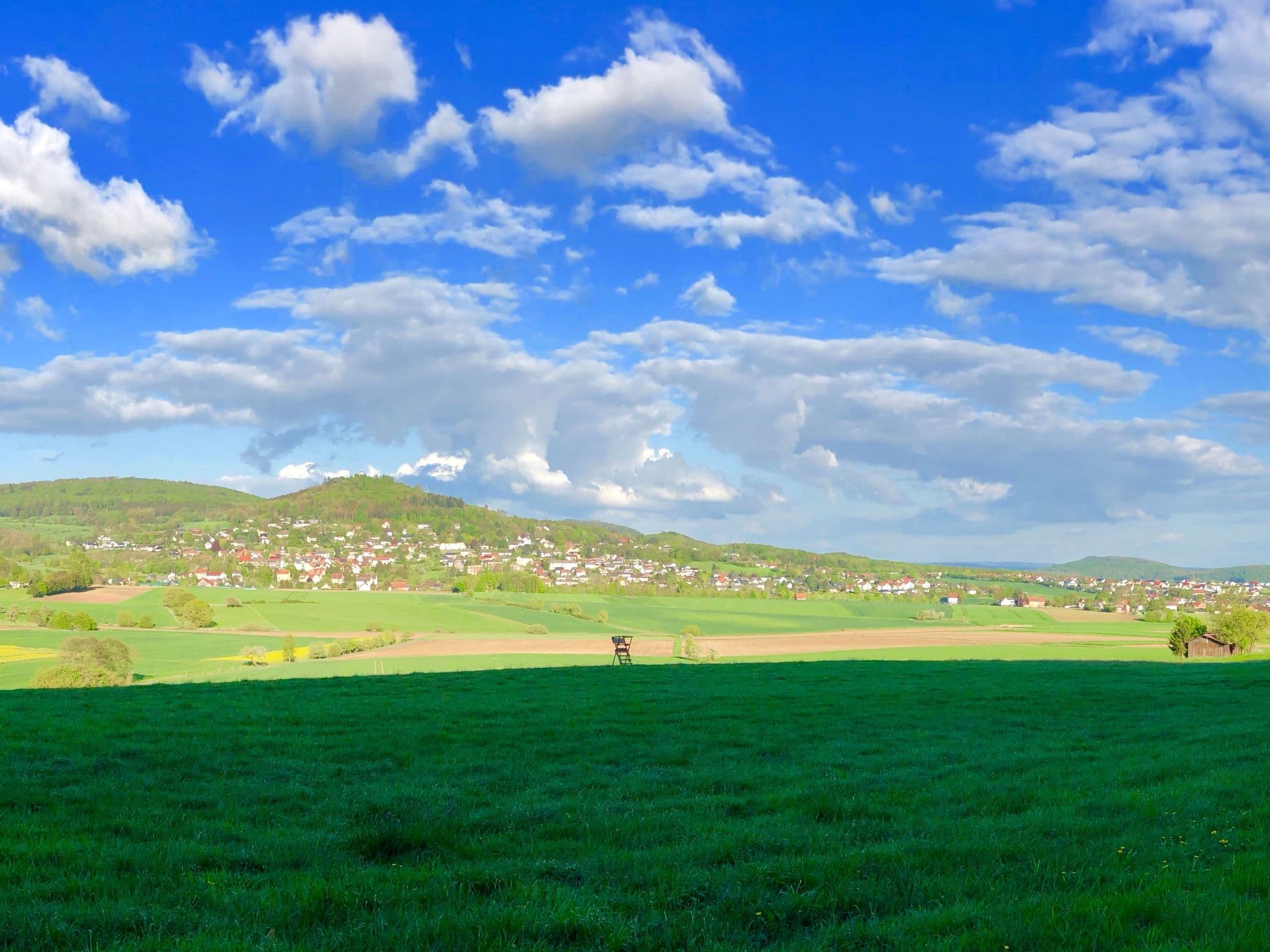 View