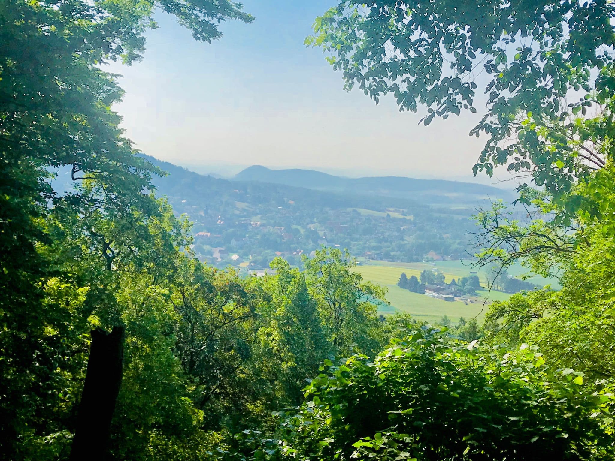 View