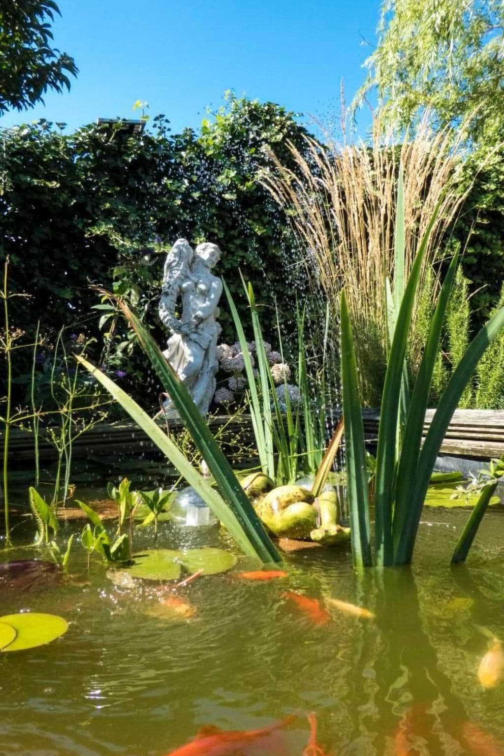Gallery Image 23