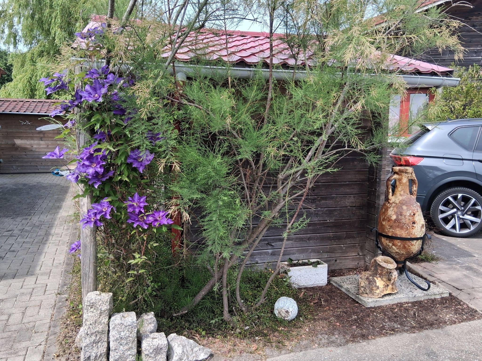 Gallery Image 27